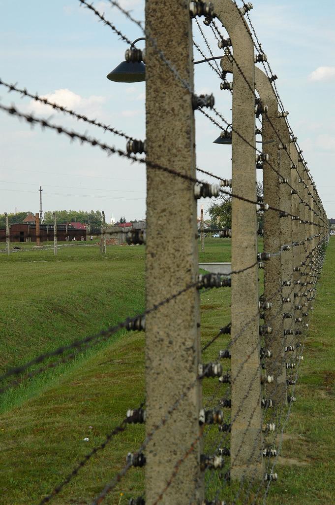 Galleria Fascismo e discriminazioni di genere: la Giornata della Memoria per non dimenticare nessun tipo di discriminazione e violenza - Diapositiva 7 di 20