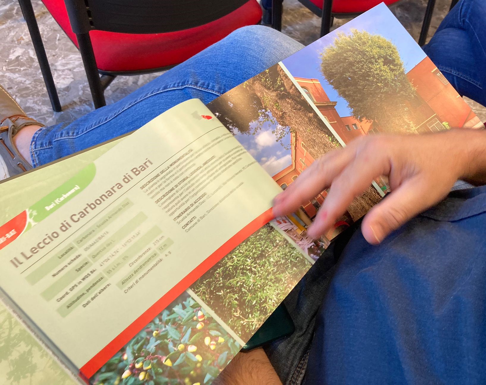 Galleria Presentato il secondo volume dell'Atlante degli alberi monumentali di Puglia - Diapositiva 10 di 13