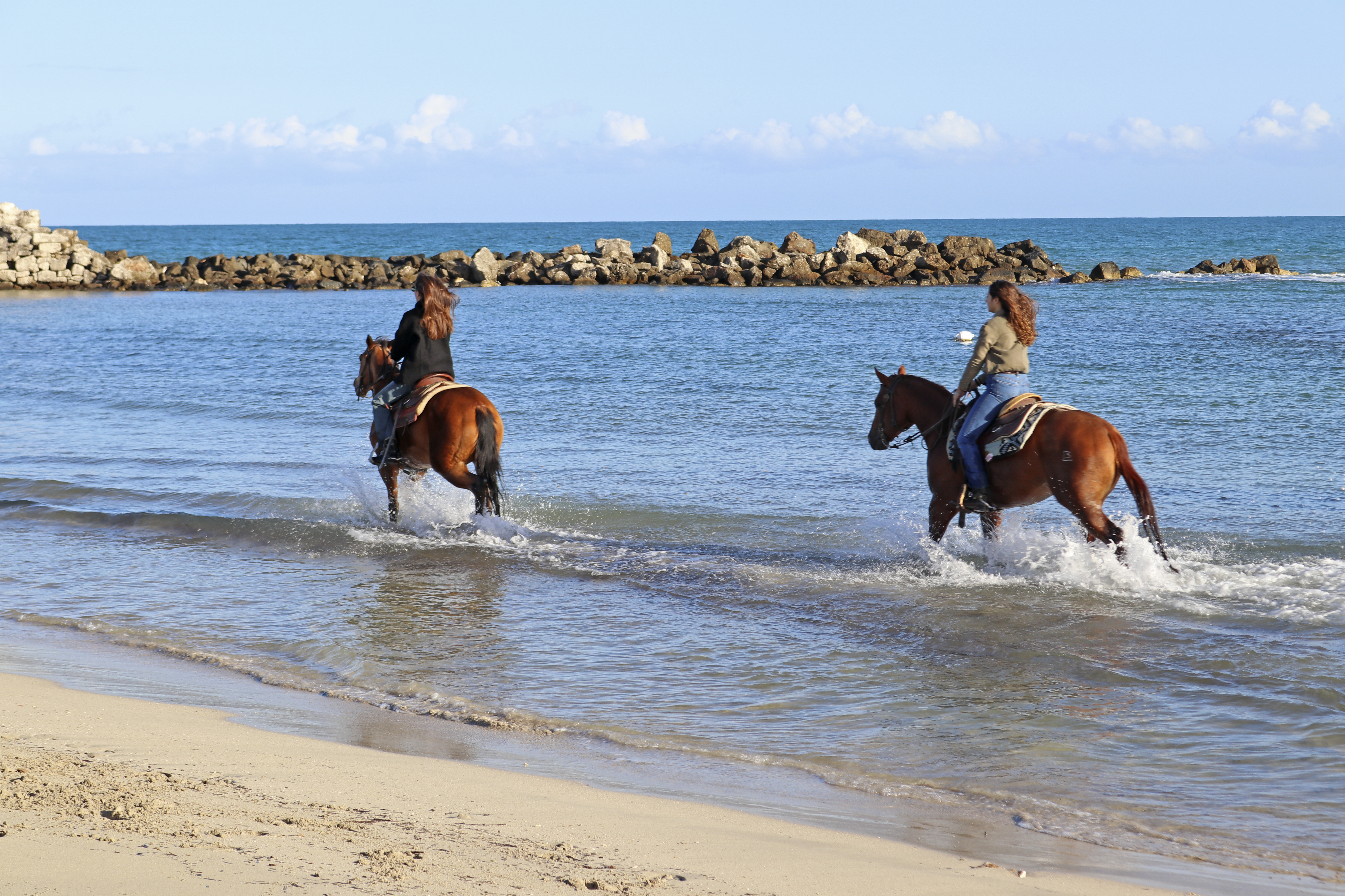 Galleria TURISMO SOSTENIBILE, CAMMINI: +48% PER LE CREDENZIALI DEI VIANDANTI, DOSSIER DATI - Diapositiva 3 di 12