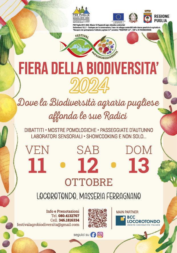 Galleria Al via la I edizione Fiera della Biodiversità a Locorotondo dall’11 al 13 ottobre - Diapositiva 12 di 13