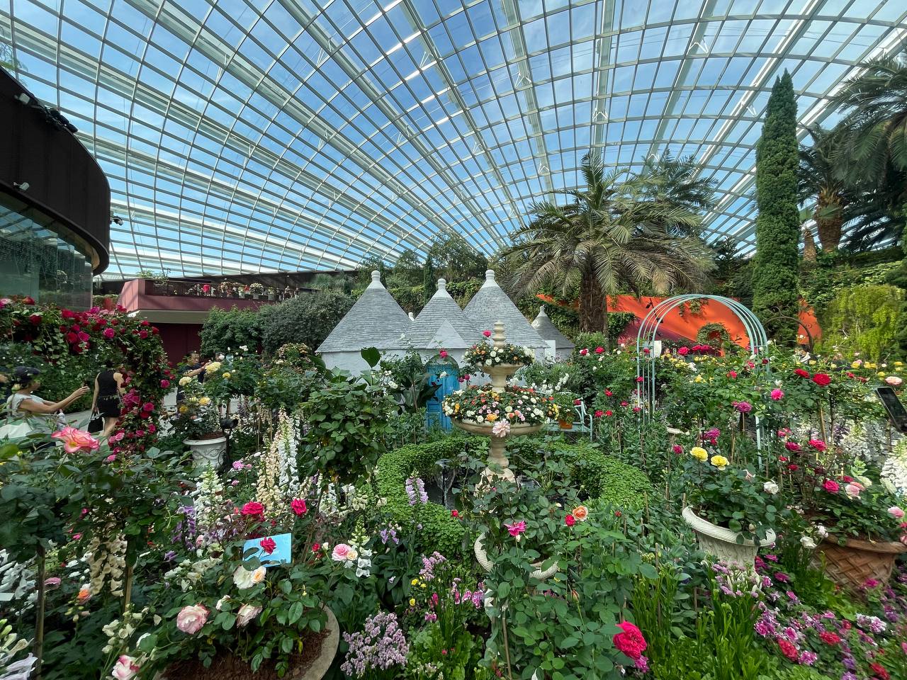 Galleria La Puglia a Singapore nel giorno della Festa della Repubblica, al grande evento “Rose Romance” promosso dall'Ambasciata d’Italia - Diapositiva 20 di 22