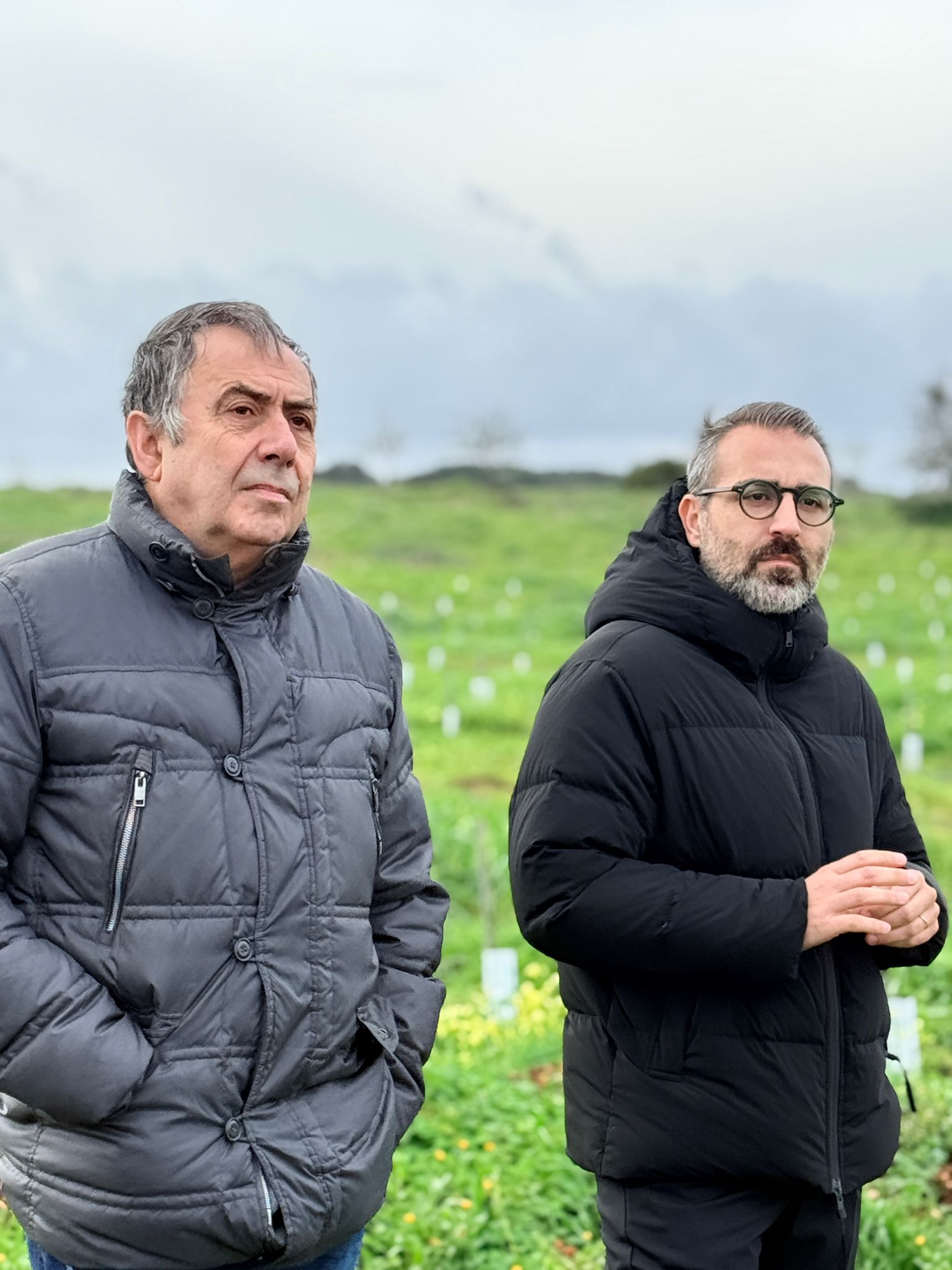 Galleria Xylella e rigenerazione olivicola, assessore Paolicelli in visita all’azienda agricola di San Vito dei Normanni (Br): “E’ uno degli esempi virtuosi da valorizzare e diffondere” - Diapositiva 2 di 4