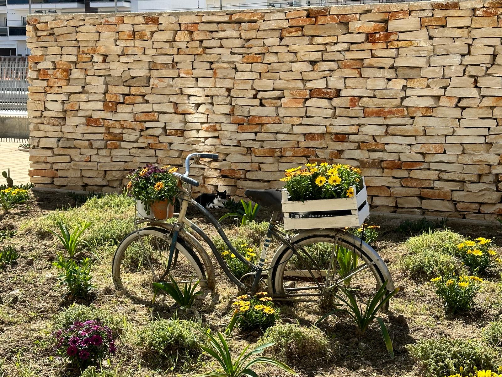 Galleria Mobilità sostenibile, Maurodinoia inaugura il nuovo servizio di bike sharing di Molfetta finanziato dalla Regione - Diapositiva 3 di 4