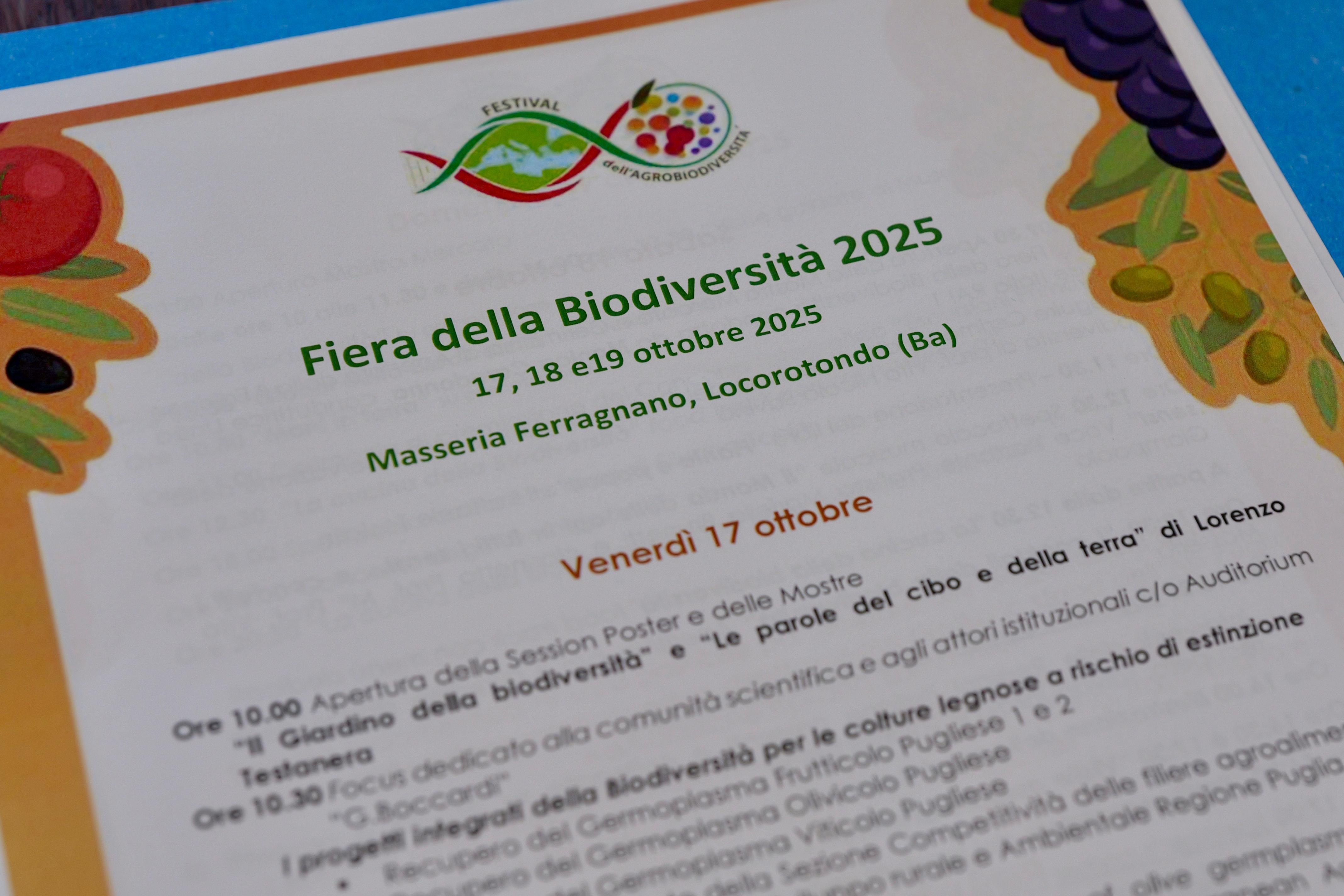 Galleria Fiera della Biodiversità 2025: dal 17 al 19 ottobre la seconda edizione a Locorotondo - Diapositiva 5 di 9