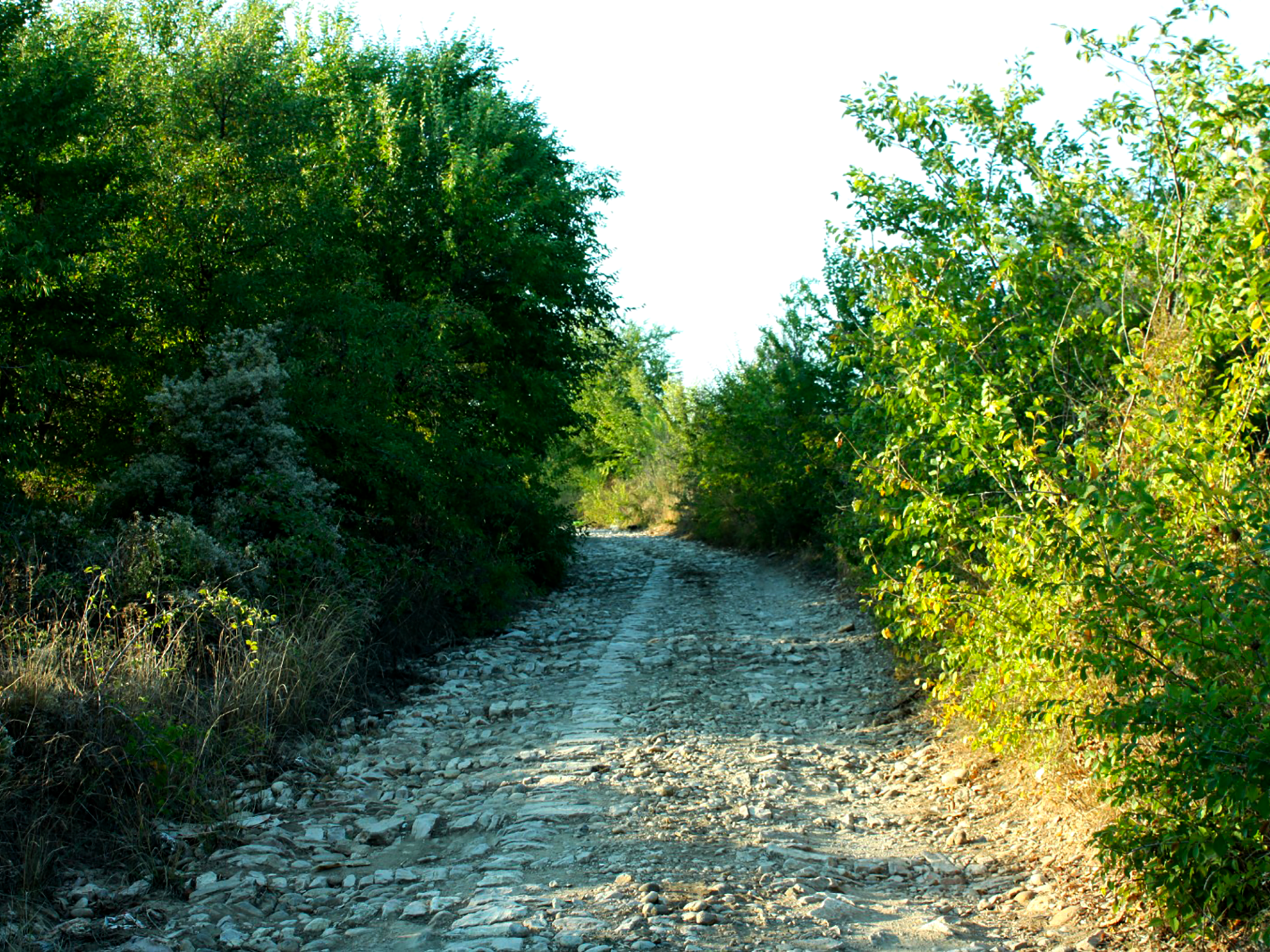 Galleria PIEMONTESE FIRMA ACCORDO CON SOPRINTENDENZA PER PROGETTO TRATTURO MAGNO - Diapositiva 1 di 1