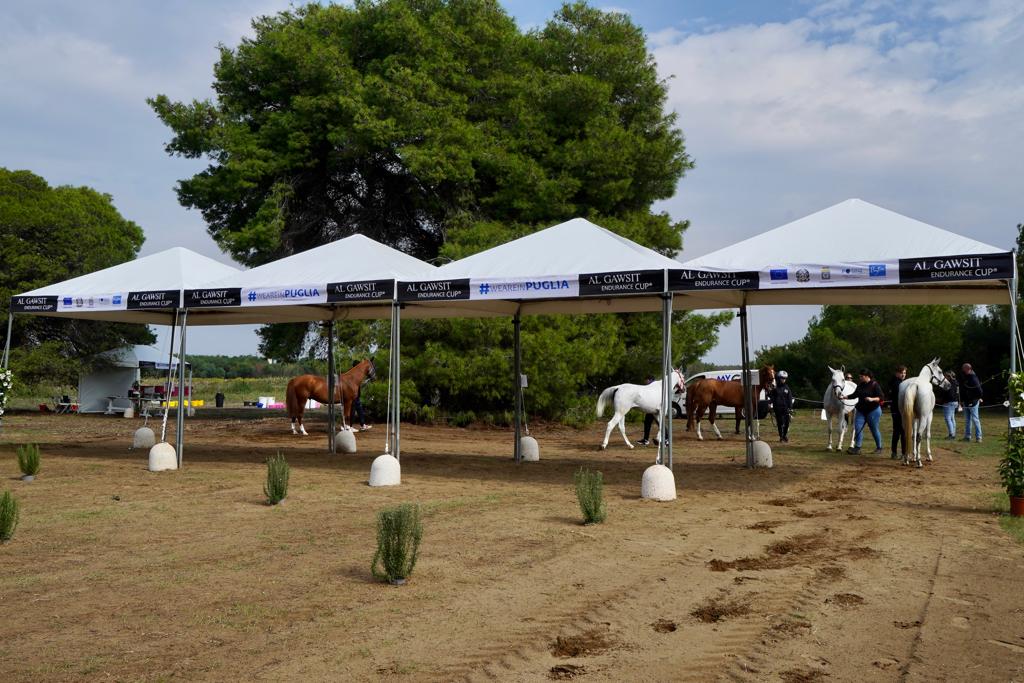 Galleria Turismo destagionalizzato, a cavallo nei boschi di Castellaneta Marina, domani e domenica la gara di Endurance AL GAWSIT ENDURANCE CUP® 2022 - Diapositiva 1 di 22
