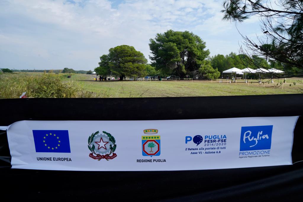 Galleria Turismo destagionalizzato, a cavallo nei boschi di Castellaneta Marina, domani e domenica la gara di Endurance AL GAWSIT ENDURANCE CUP® 2022 - Diapositiva 20 di 22