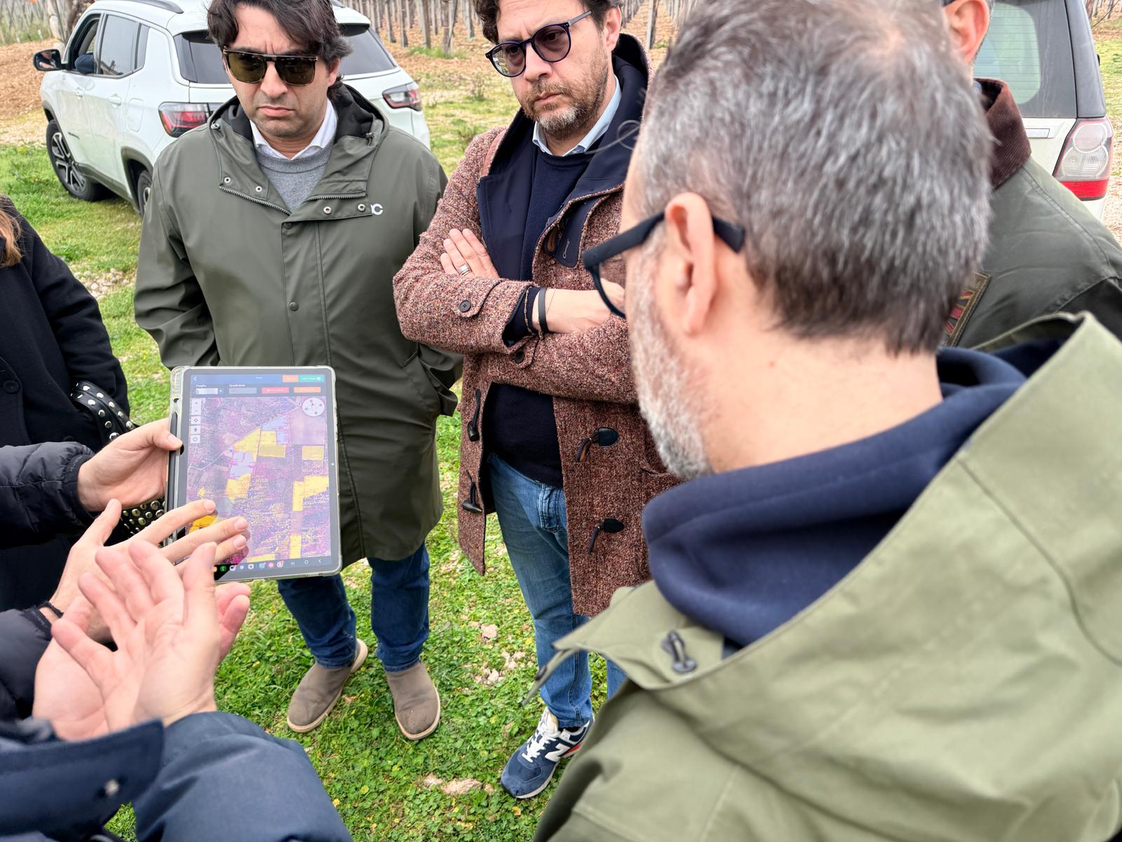 Galleria Xylella, chiuso il monitoraggio 2026 su area Triggiano. Paolicelli: “Nessuna espansione dopo due anni di interventi” - Diapositiva 2 di 4