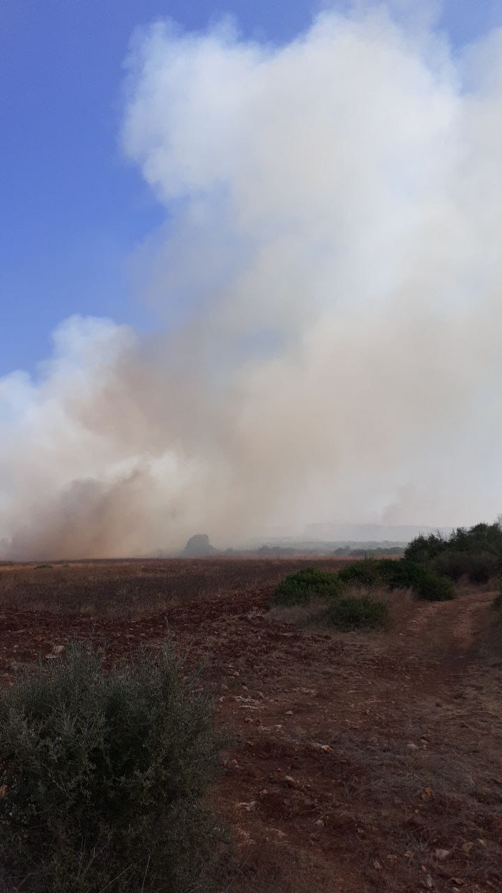 Galleria Protezione civile, a Martina Franca scongiurata la distruzione di 90 ettari di macchia mediterranea - Diapositiva 1 di 4