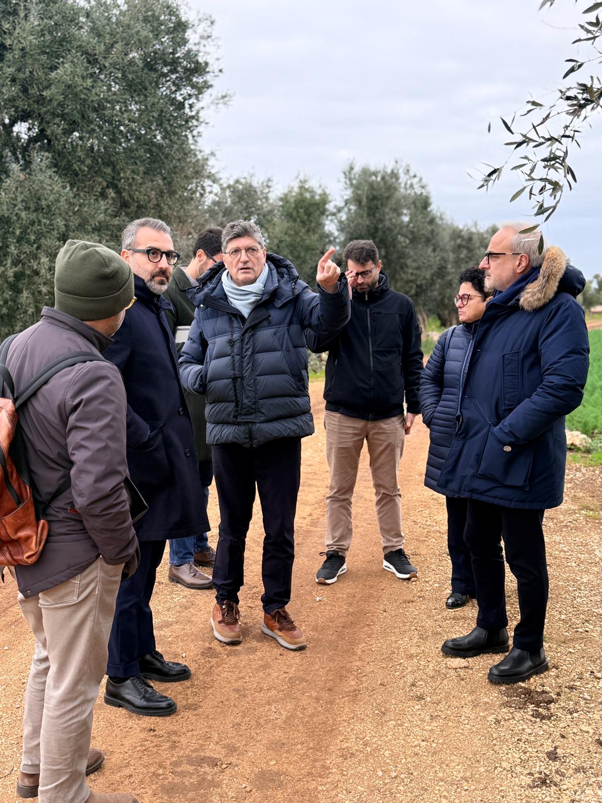 Galleria Xylella in agro di Bitonto, assessore Paolicelli: “Caso isolato, manteniamo alta l’attenzione