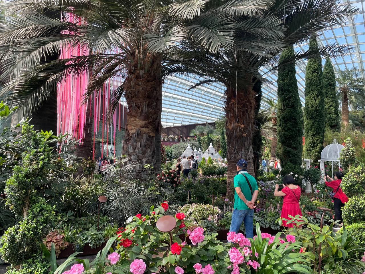 Galleria La Puglia a Singapore nel giorno della Festa della Repubblica, al grande evento “Rose Romance” promosso dall'Ambasciata d’Italia - Diapositiva 14 di 22