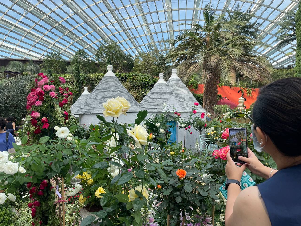 Galleria La Puglia a Singapore nel giorno della Festa della Repubblica, al grande evento “Rose Romance” promosso dall'Ambasciata d’Italia - Diapositiva 18 di 22