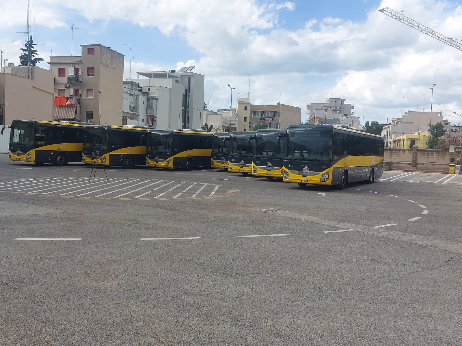 Galleria Trasporti, rinnovata la flotta autobus di Ferrotramviaria - Diapositiva 4 di 10