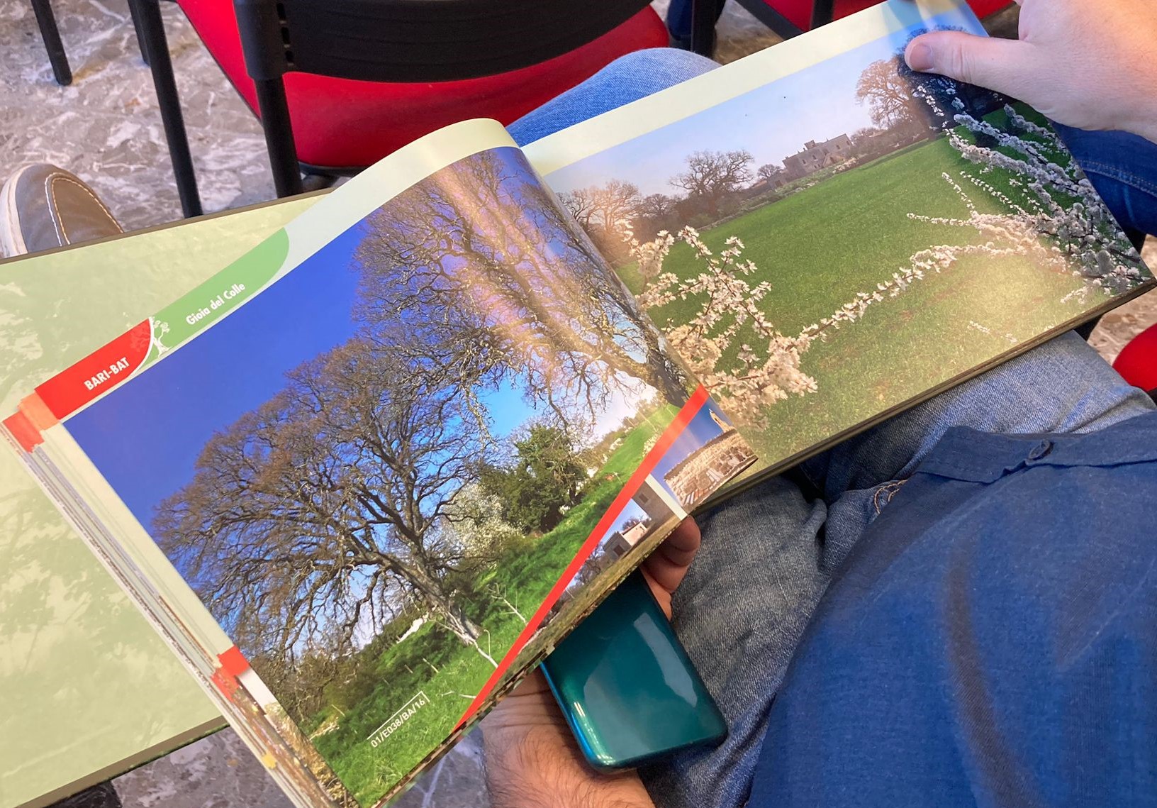 Galleria Presentato il secondo volume dell'Atlante degli alberi monumentali di Puglia - Diapositiva 11 di 13