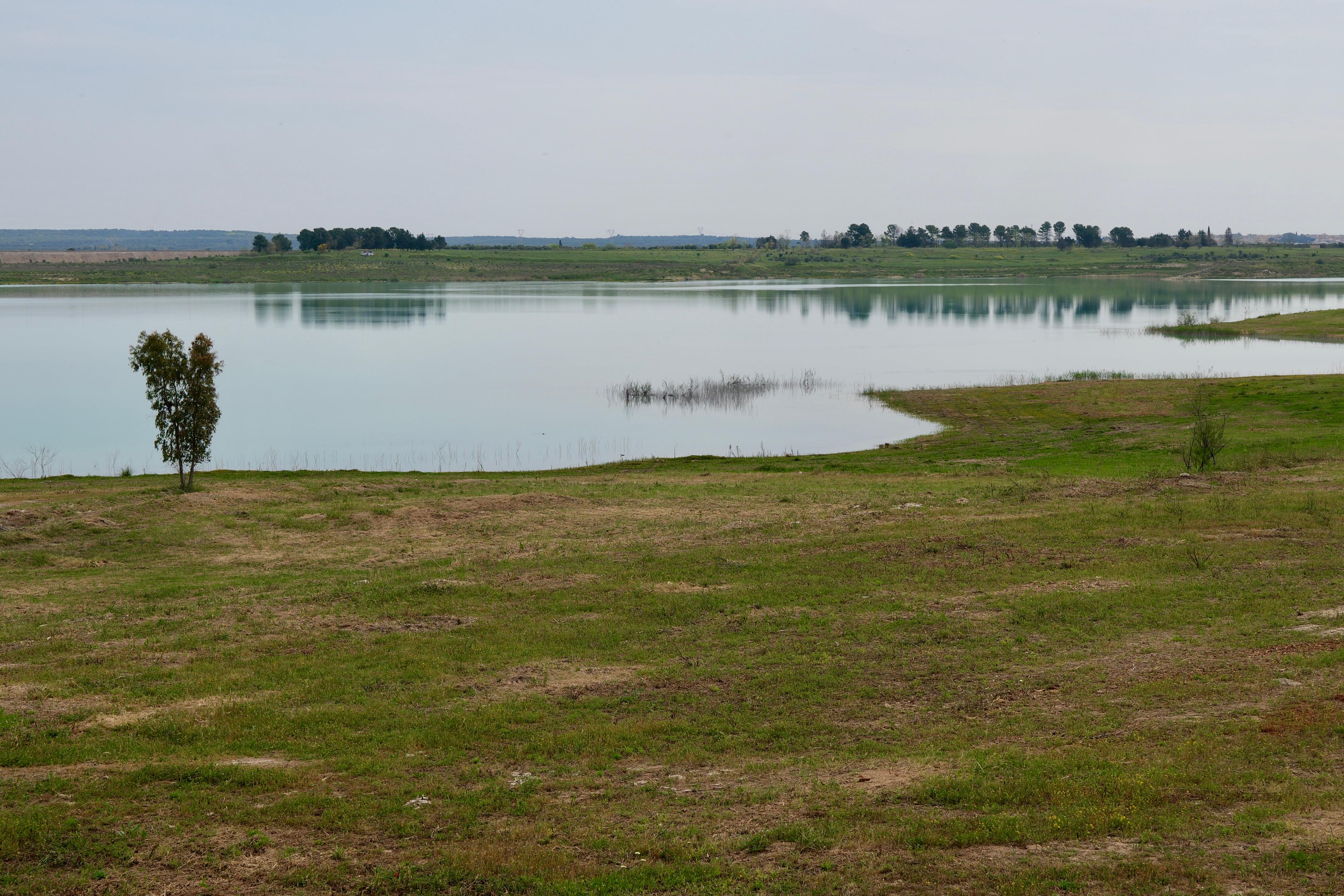 Galleria AL VIA LE OPERE PER L’ENTRATA IN FUNZIONE DELLA DIGA DEL PAPPADAI. EMILIANO: “AQP PRONTO ALLA GESTIONE IDRICA PER TUTTO IL SUD” PENTASSUGLIA: “GIORNATA IMPORTANTE PER LA PUGLIA” - Diapositiva 2 di 6