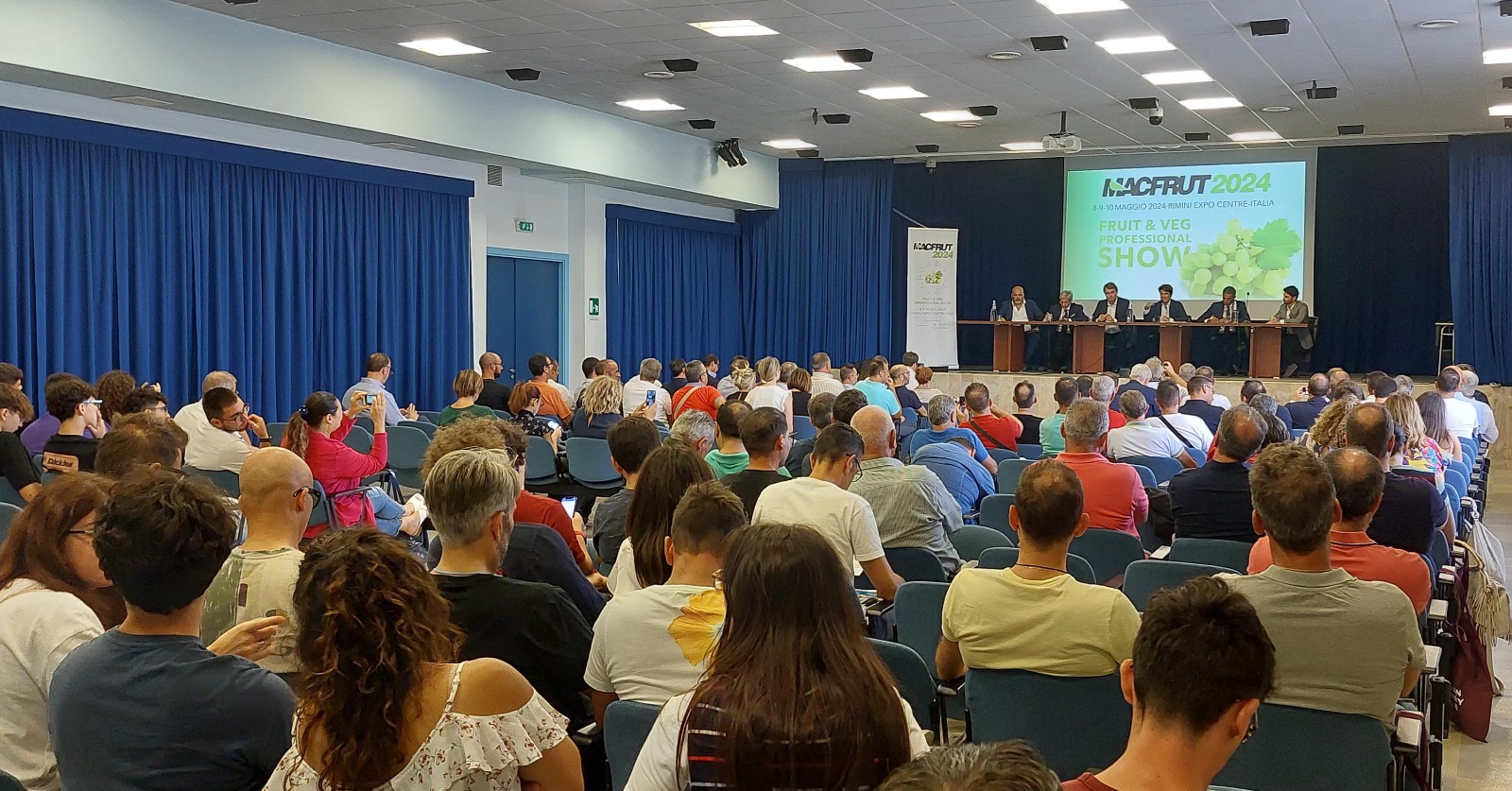 Galleria Puglia regione partner di Macfrut 2024, l’uva da tavola prodotto protagonista della 41esima edizione - Diapositiva 3 di 6