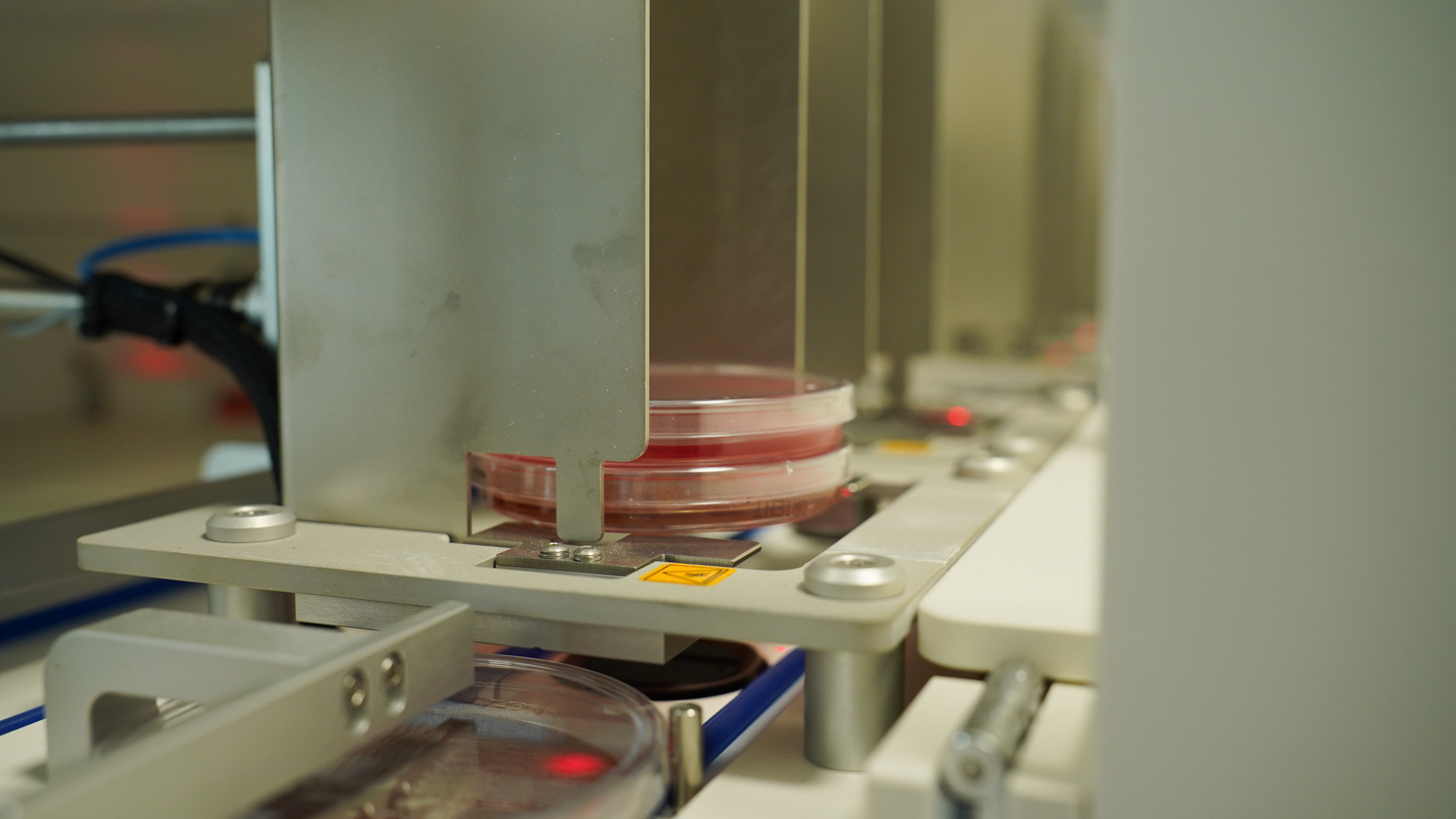 Galleria Nuovo laboratorio di Microbiologia provinciale della ASL all'ospedale Di Venere - Diapositiva 1 di 21