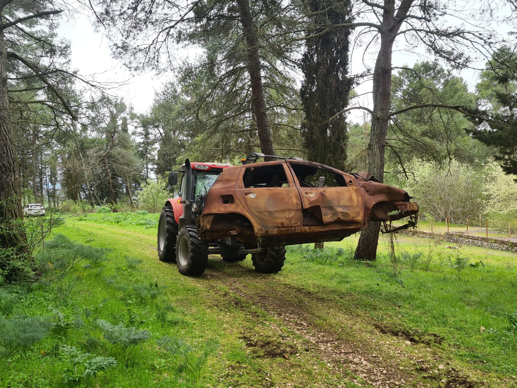 Galleria PLAUSO PRESIDENTE EMILIANO A OPERAZIONE “ALTA MURGIA CLEAN UP” CON ESERCITO, PARCO NAZIONALE ALTA MURGIA E ARIF CONTRO ABBANDONO DEI RIFIUTI - Diapositiva 7 di 8