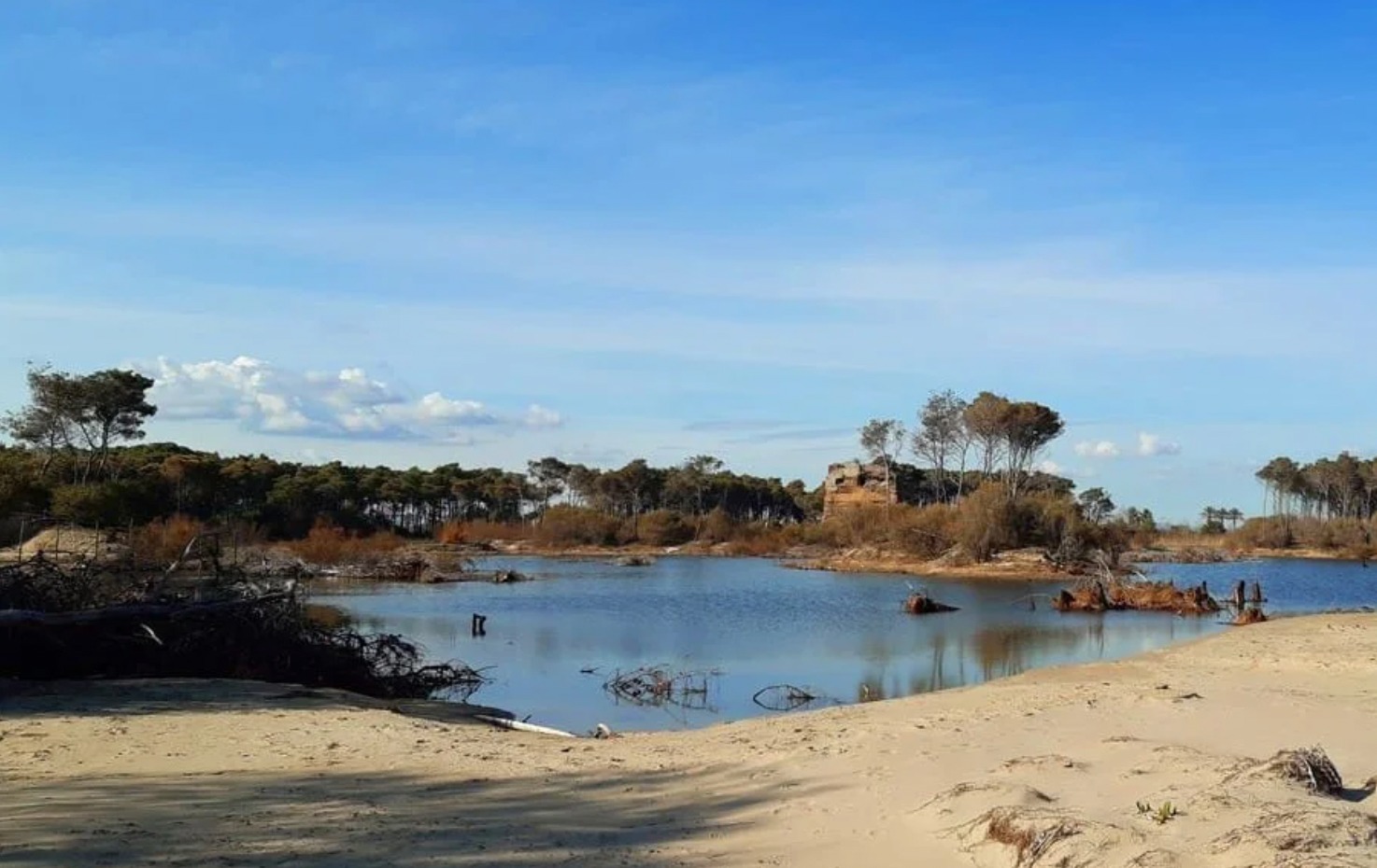 Galleria Turismo destagionalizzato, a cavallo nei boschi di Castellaneta Marina, domani e domenica la gara di Endurance AL GAWSIT ENDURANCE CUP® 2022 - Diapositiva 8 di 22