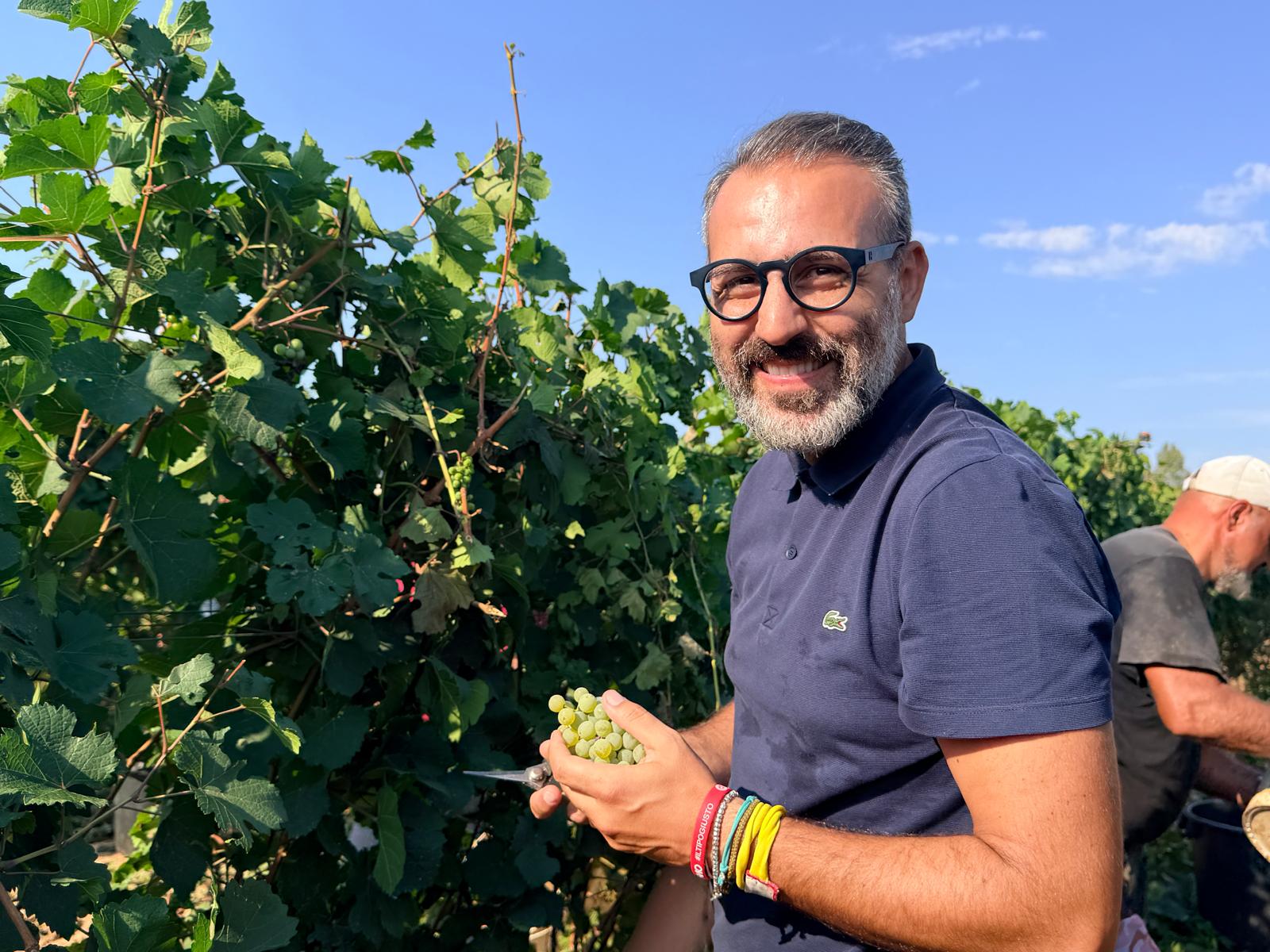 Galleria Vendemmia 2026, Paolicelli a Leverano per il primo taglio dell'uva - Diapositiva 3 di 3