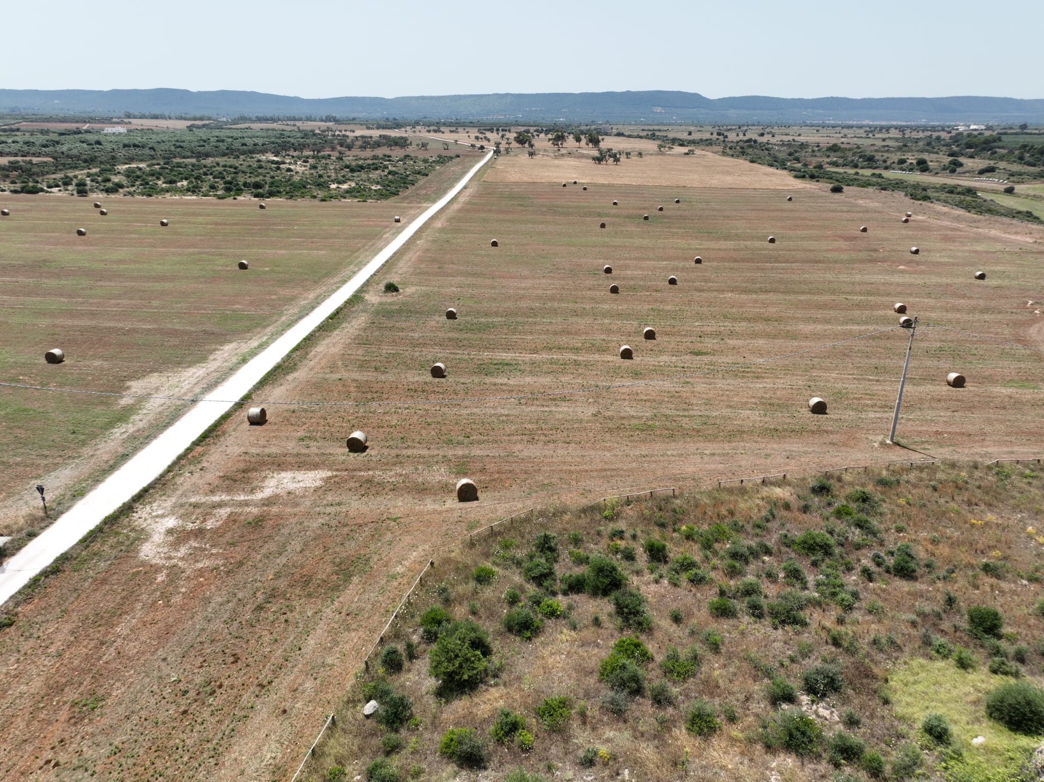 Galleria Il ruolo delle dune costiere, assessora Triggiani: “Patrimonio geobiodiverso e volàno di sviluppo costiero e turistico da tutelare” - Diapositiva 11 di 14