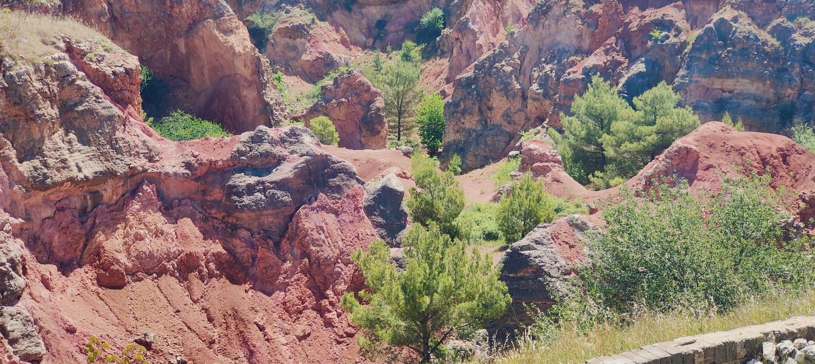 Galleria Riaprono le Miniere di Bauxite nel Parco Nazionale dell'Alta Murgia: l’inaugurazione in occasione della Giornata Mondiale dell’Ambiente - Diapositiva 1 di 7