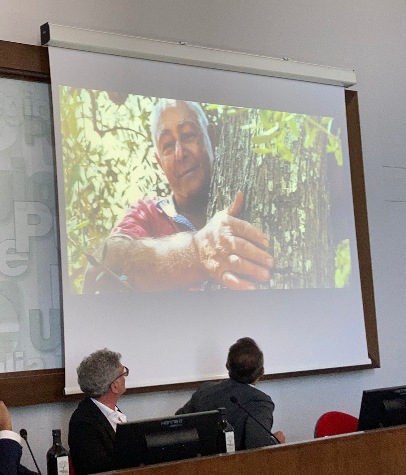 Galleria Ulivi, Intrecci di Puglia: Regione e Città dell’Olio presentano lo spot del regista Alessandro Piva - Diapositiva 2 di 2