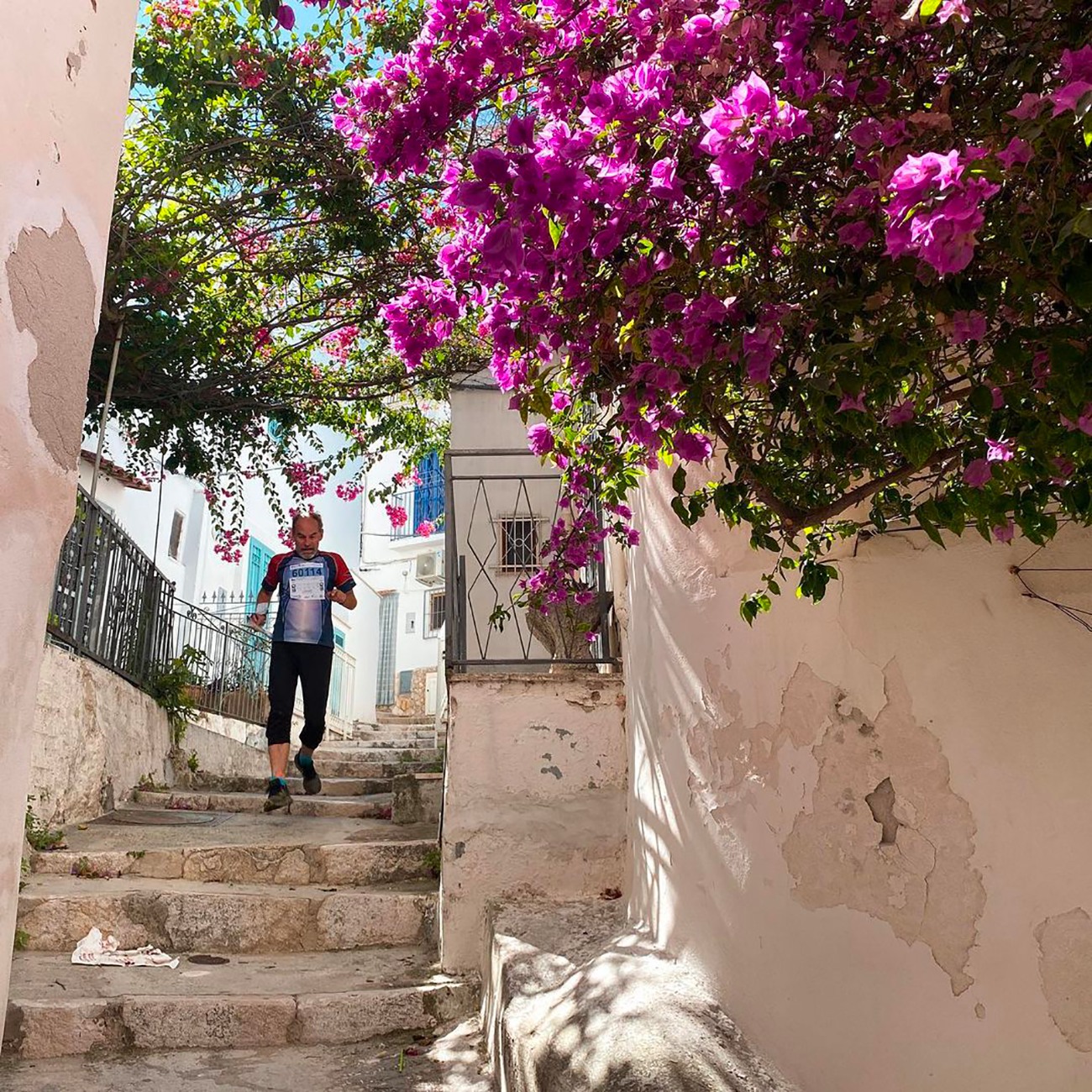 Galleria Piemontese, da lunedì 30 settembre l’Orienteering internazionale torna in Puglia e sul Gargano - Diapositiva 2 di 2