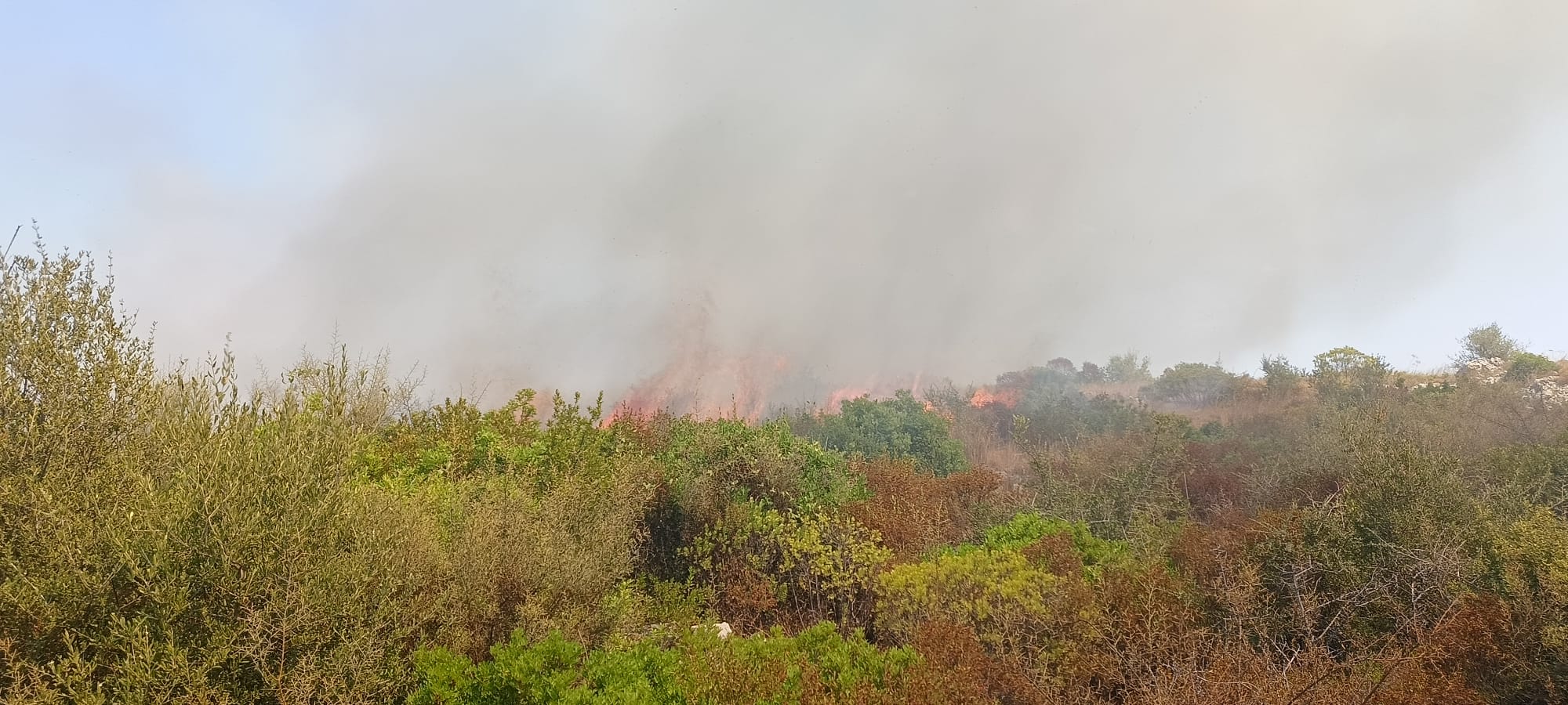 Galleria Protezione civile, a Martina Franca scongiurata la distruzione di 90 ettari di macchia mediterranea - Diapositiva 2 di 4