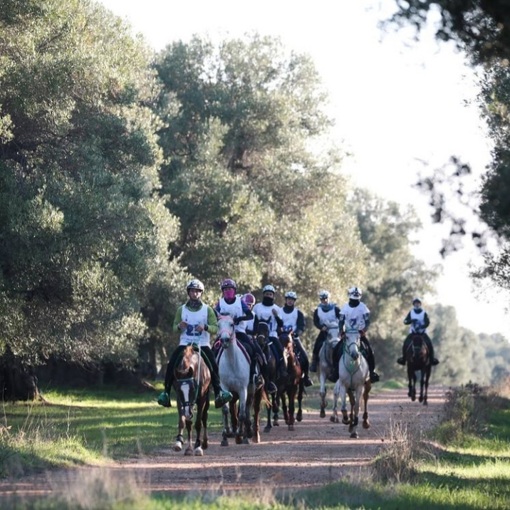 Galleria Turismo destagionalizzato, a cavallo nei boschi di Castellaneta Marina, domani e domenica la gara di Endurance AL GAWSIT ENDURANCE CUP® 2022 - Diapositiva 10 di 22