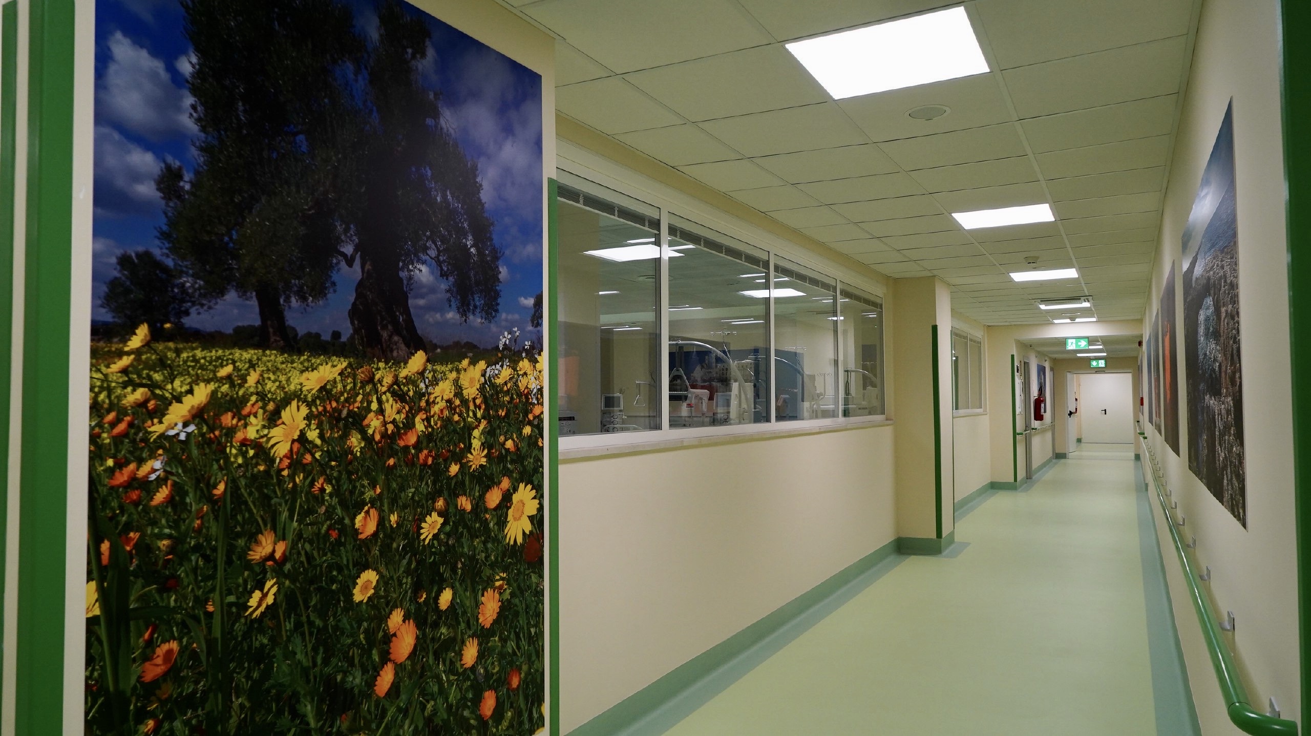 Galleria Inaugurato,con il presidente Emiliano, il nuovo padiglione di Nefrologia e dialisi del Policlinico di Bari  Strumentazioni hi-tech, spazi per la telemedicina e aule studio - Diapositiva 2 di 18