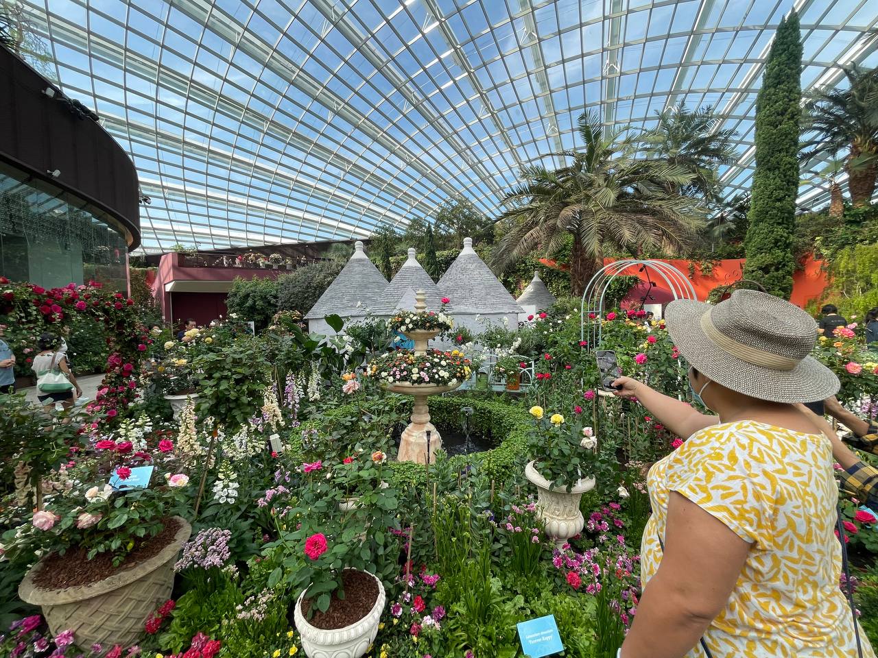 Galleria La Puglia a Singapore nel giorno della Festa della Repubblica, al grande evento “Rose Romance” promosso dall'Ambasciata d’Italia - Diapositiva 21 di 22