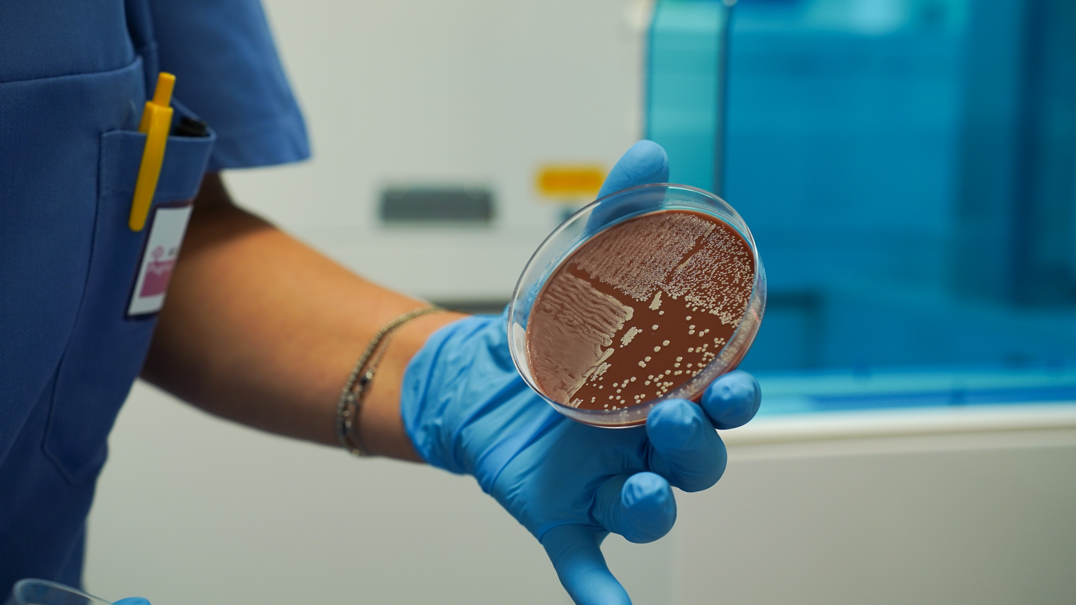 Galleria Nuovo laboratorio di Microbiologia provinciale della ASL all'ospedale Di Venere - Diapositiva 21 di 21