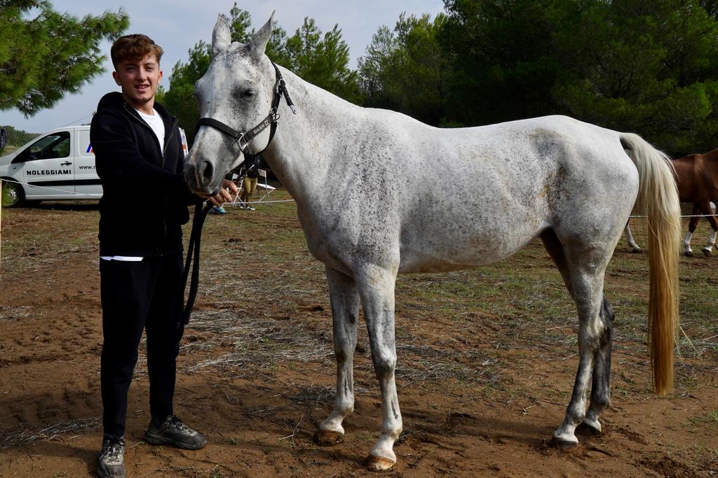 Galleria Turismo destagionalizzato, a cavallo nei boschi di Castellaneta Marina, domani e domenica la gara di Endurance AL GAWSIT ENDURANCE CUP® 2022 - Diapositiva 22 di 22