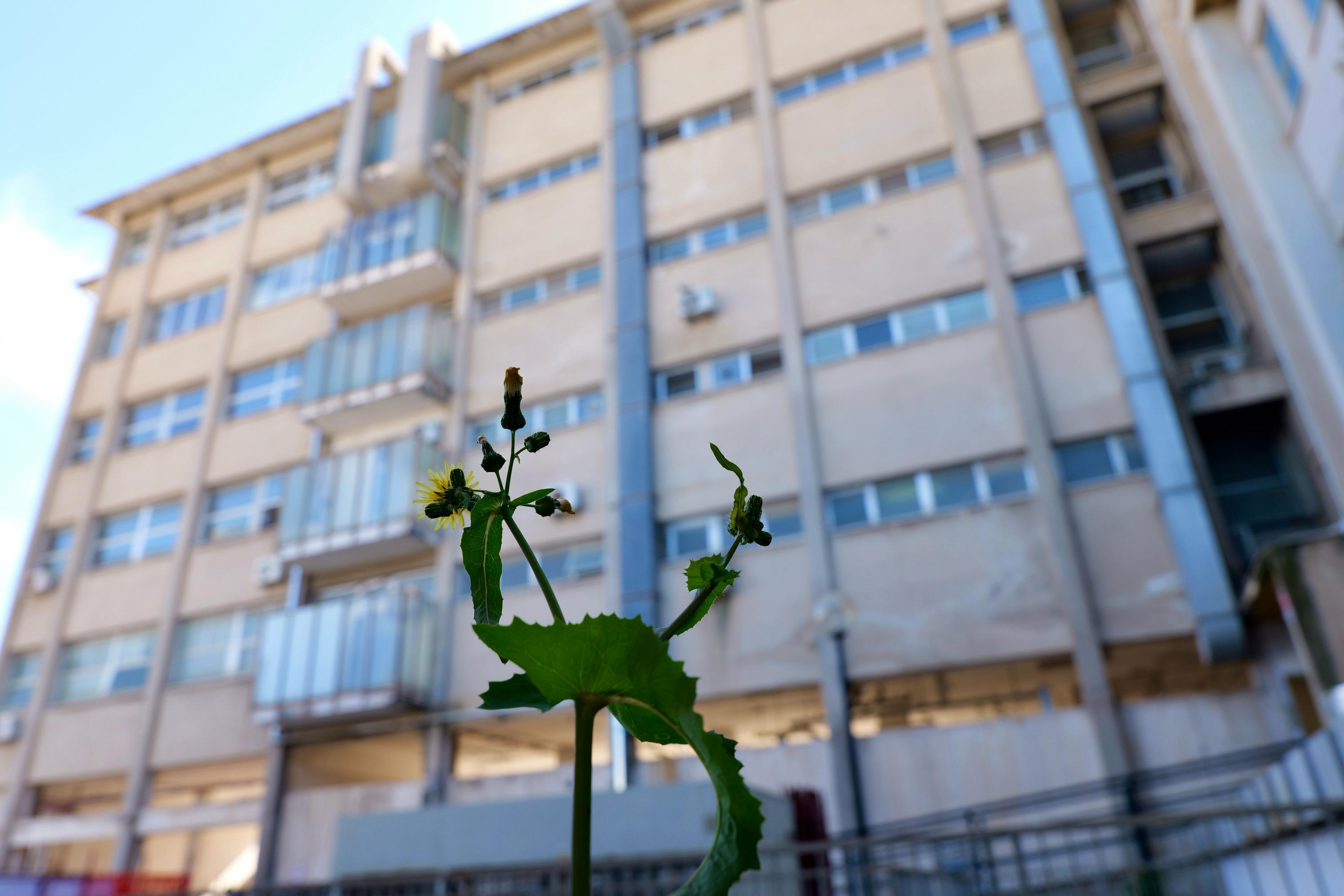 Galleria PNRR-PNC, adeguamento antisismico ed efficientamento energetico: Asl Bari dà il via a lavori da 7,3 milioni all’Ospedale di Molfetta - Diapositiva 10 di 10