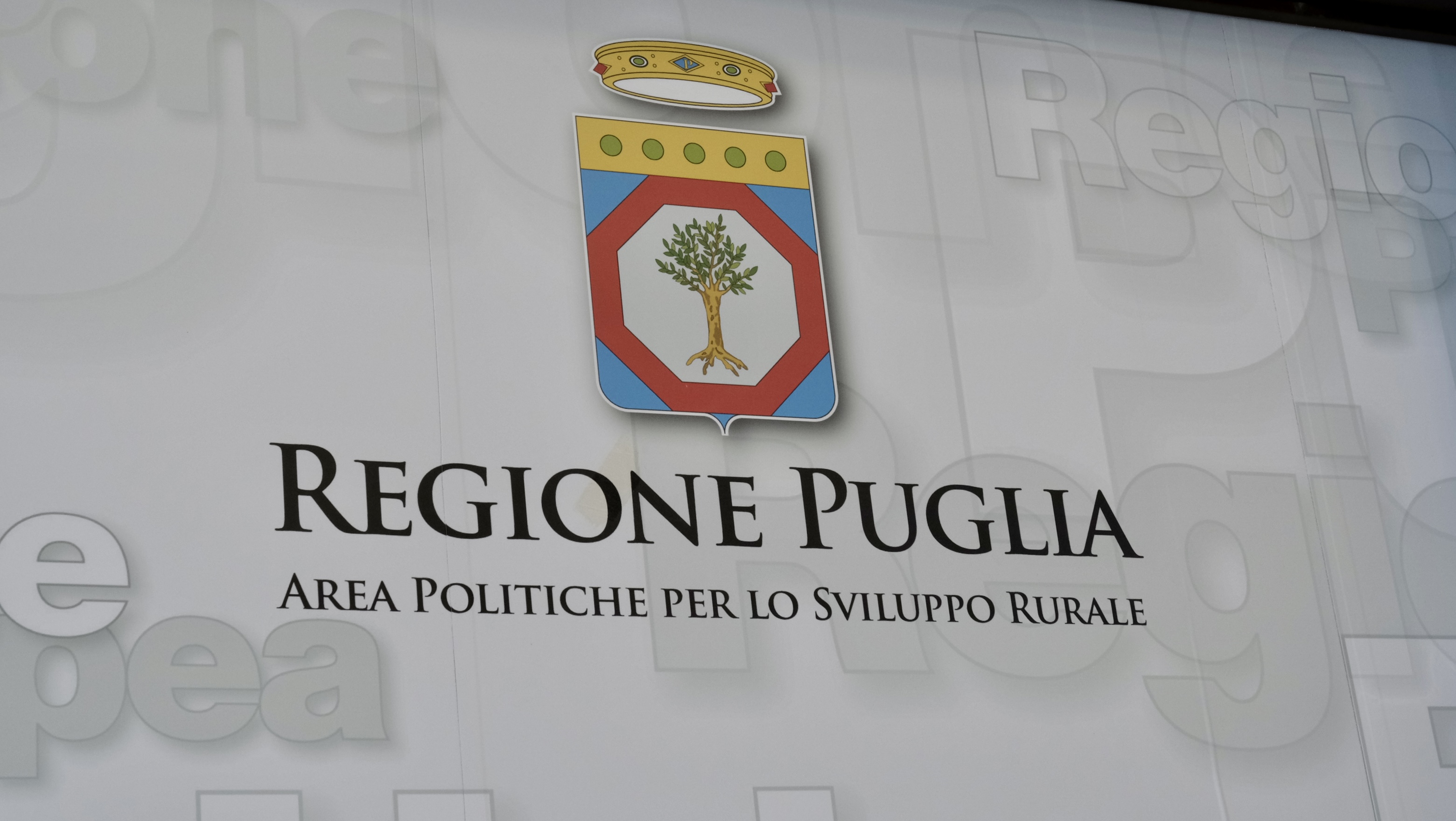 Galleria LATTIERO-CASEARIO: SIGLATO IL PROTOCOLLO D’INTESA PER LA VALORIZZAZIONE DEL SETTORE, PENTASSUGLIA: “UN PASSO STORICO NEL SEGNO DELLA RESPONSABILIZZAZIONE DI TUTTI GLI ATTORI DELLA FILIERA” - Diapositiva 2 di 6