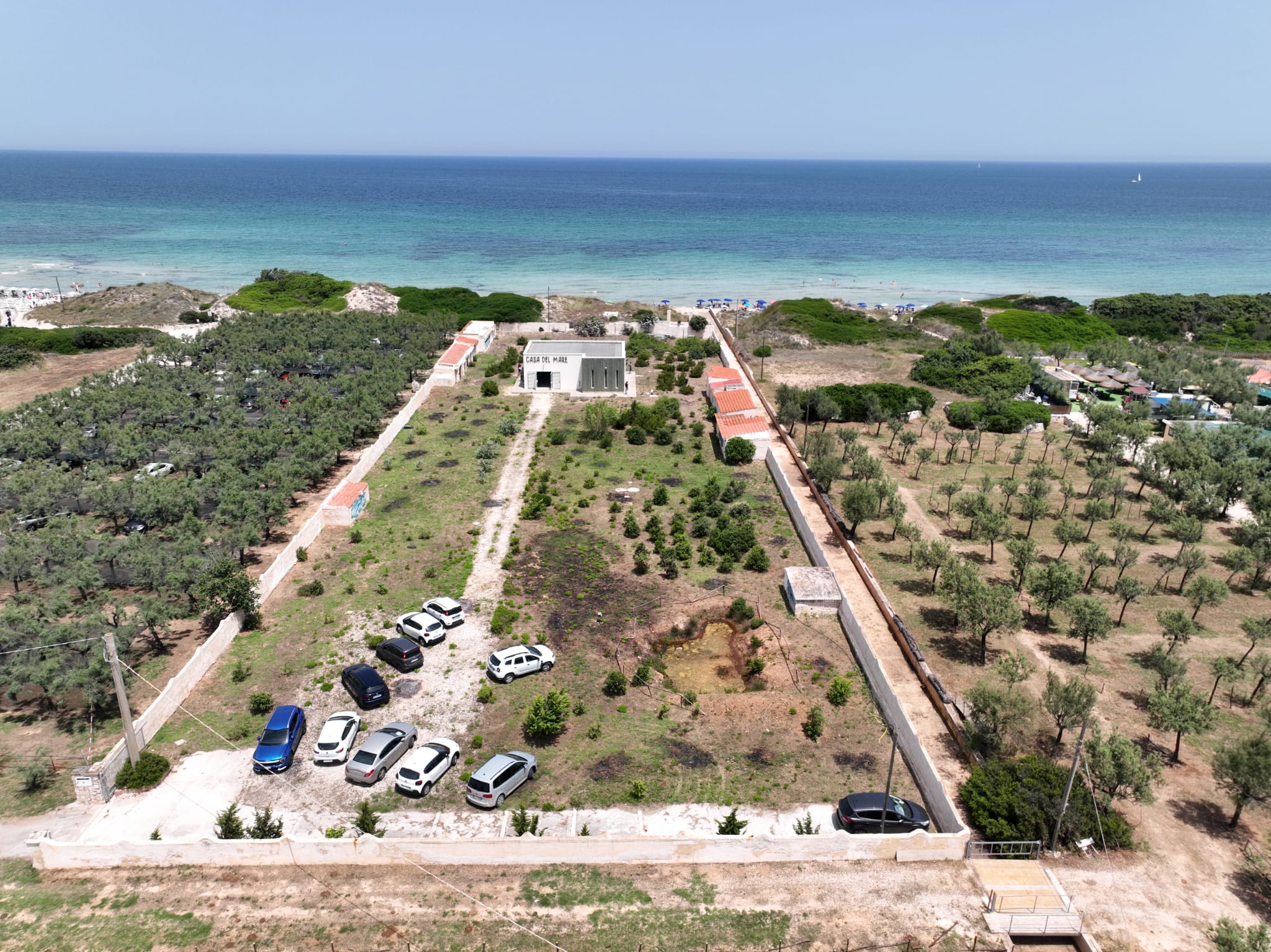 Galleria Il ruolo delle dune costiere, assessora Triggiani: “Patrimonio geobiodiverso e volàno di sviluppo costiero e turistico da tutelare” - Diapositiva 10 di 14