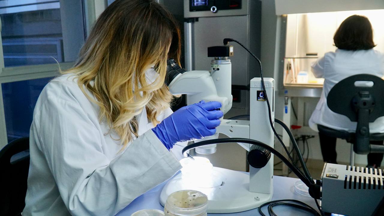 Galleria Inaugurato a Modugno il primo impianto in Puglia che produce biogas dai rifiuti. Emiliano: “Con questo impianto trasformiamo una minaccia in energia” - Diapositiva 1 di 15