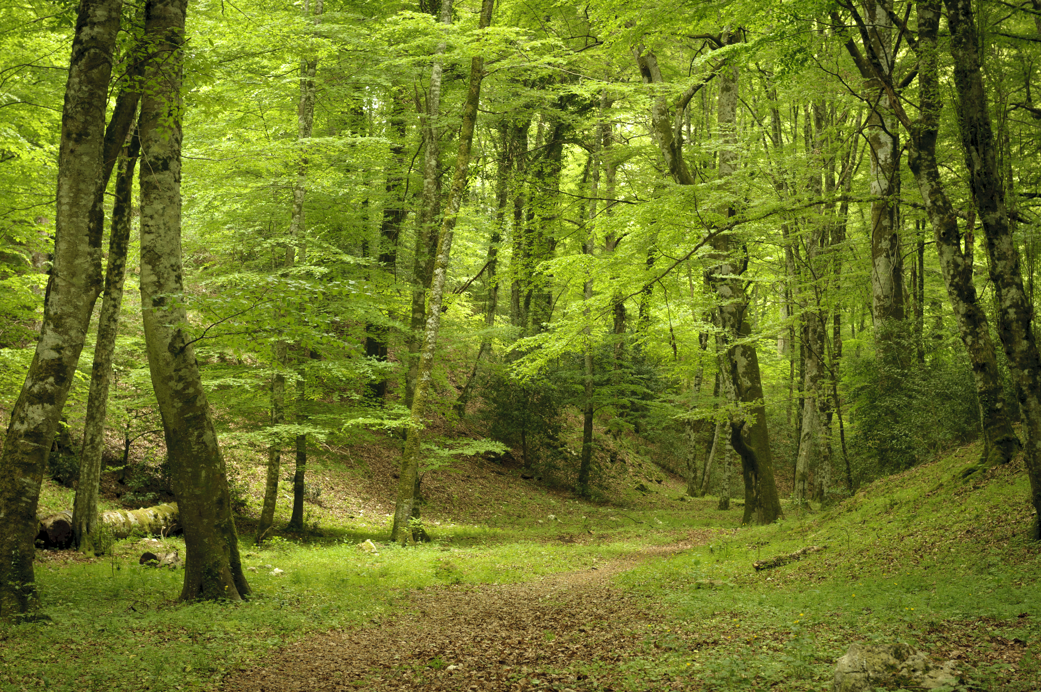 Galleria TURISMO SOSTENIBILE, CAMMINI: +48% PER LE CREDENZIALI DEI VIANDANTI, DOSSIER DATI - Diapositiva 10 di 12