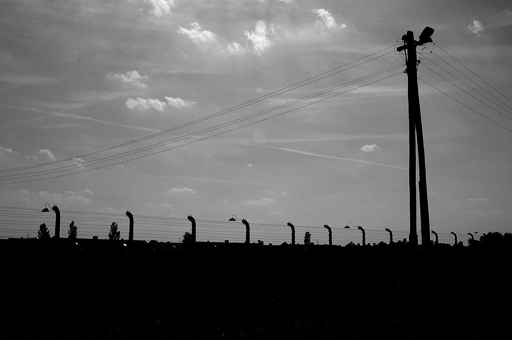 Galleria Fascismo e discriminazioni di genere: la Giornata della Memoria per non dimenticare nessun tipo di discriminazione e violenza - Diapositiva 9 di 20