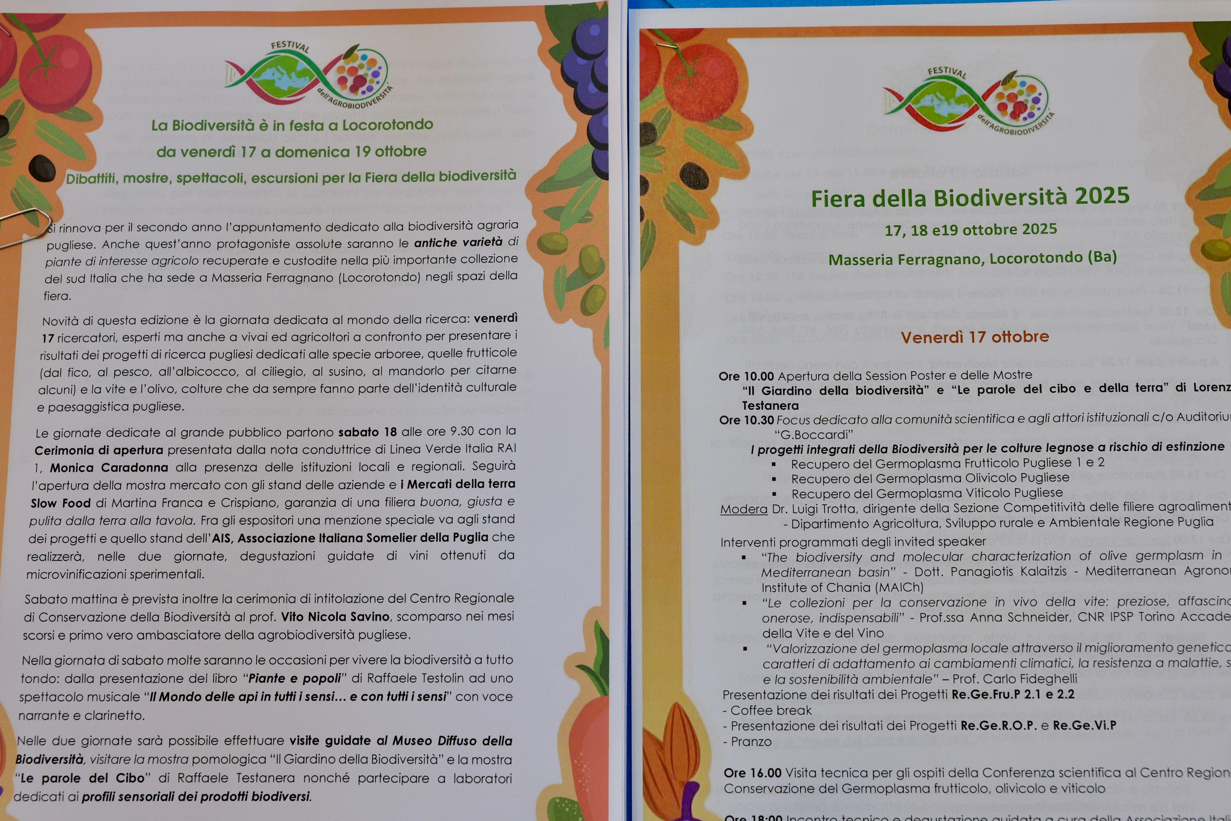 Galleria Fiera della Biodiversità 2025: dal 17 al 19 ottobre la seconda edizione a Locorotondo - Diapositiva 4 di 9