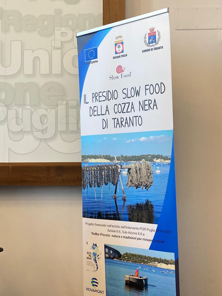 Galleria Presentato il “Presidio Slow Food della cozza nera tarantina”, marchio di qualità e sostenibilità - Diapositiva 2 di 4