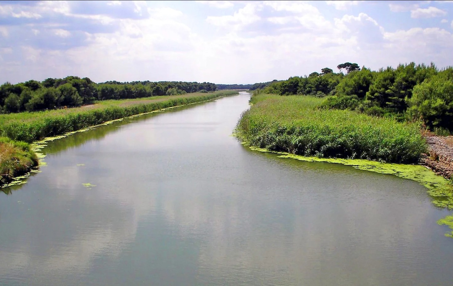 Galleria Turismo destagionalizzato, a cavallo nei boschi di Castellaneta Marina, domani e domenica la gara di Endurance AL GAWSIT ENDURANCE CUP® 2022 - Diapositiva 9 di 22