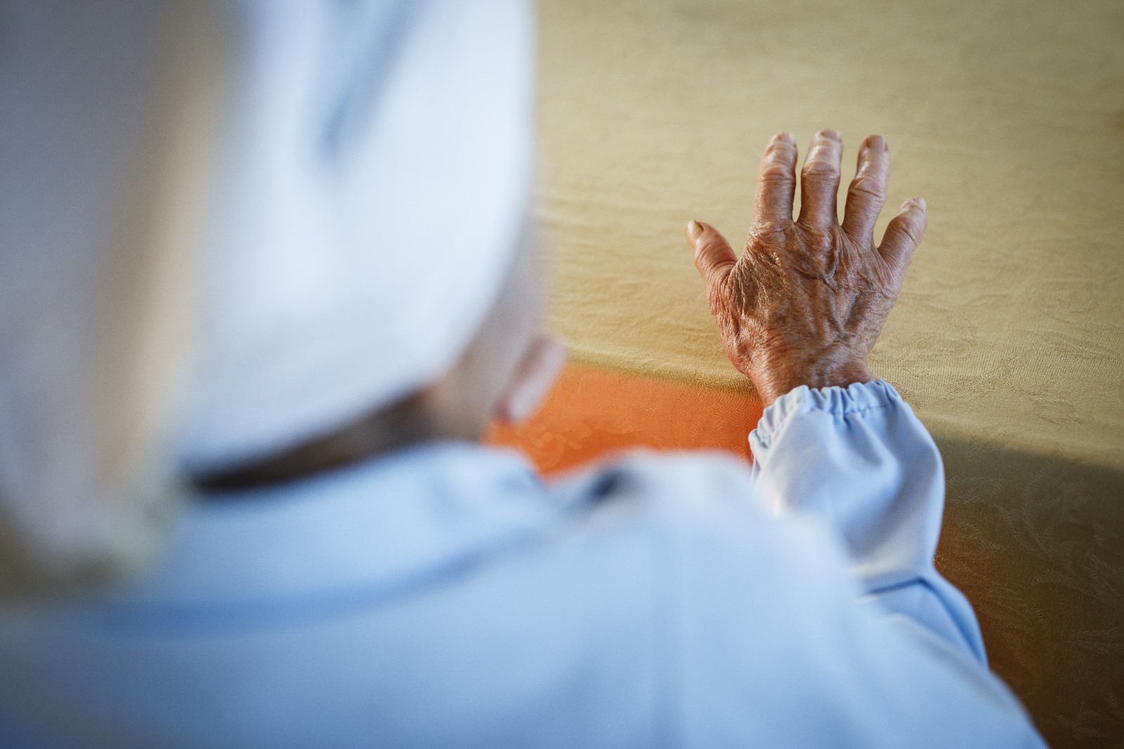 Galleria Memorie, legami e comunità nel Bioumanesimo di Puglia - Diapositiva 4 di 15