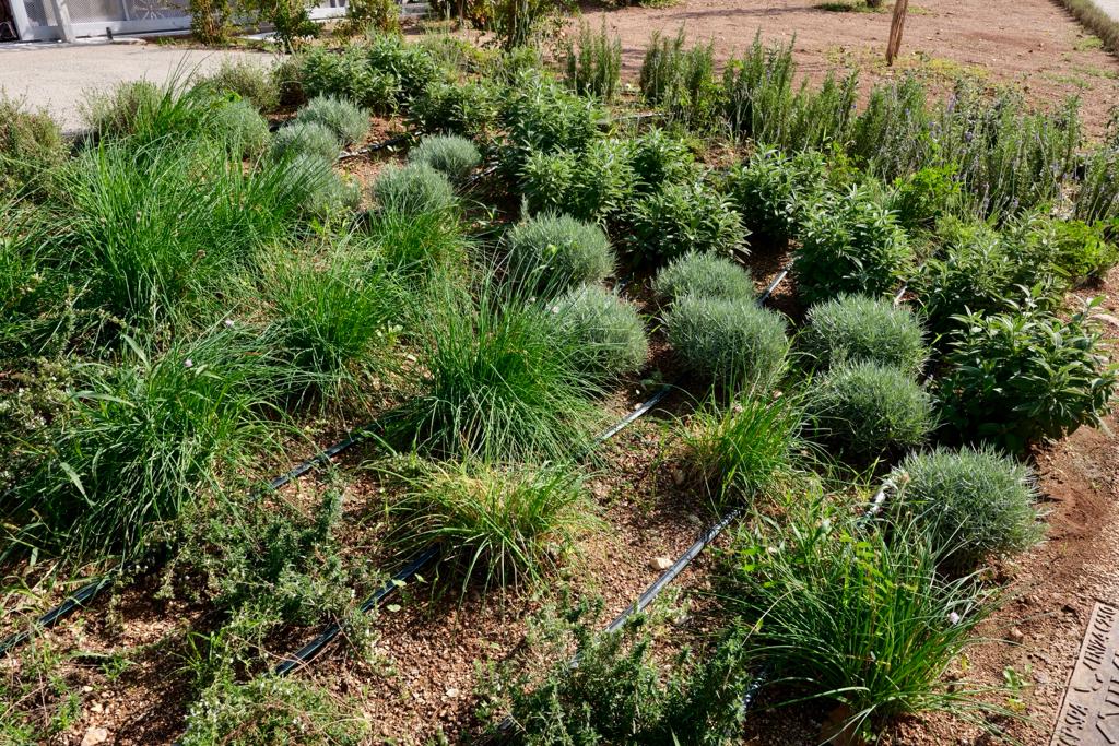 Galleria L’assessore Leo all’inaugurazione della nuova scuola innovativa ed ecosostenibile a Bitetto - Diapositiva 2 di 22