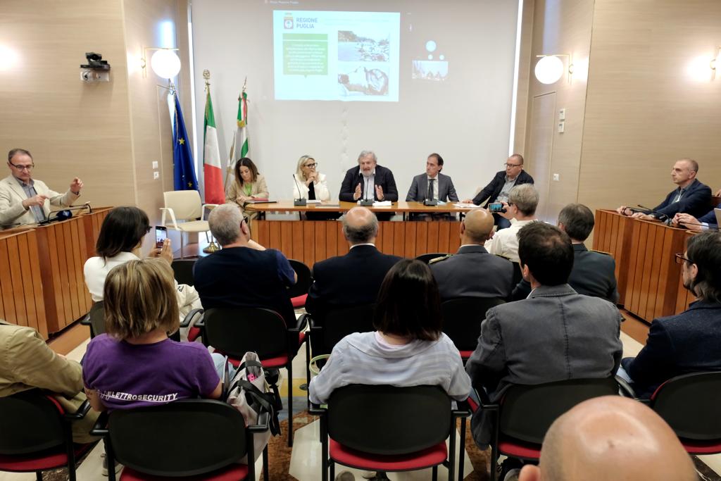 Galleria Abbandono di rifiuti su strade ad alta percorrenza turistica e valenza paesaggistica, arriva il progetto della Regione Puglia per contrastare il fenomeno - Diapositiva 10 di 13