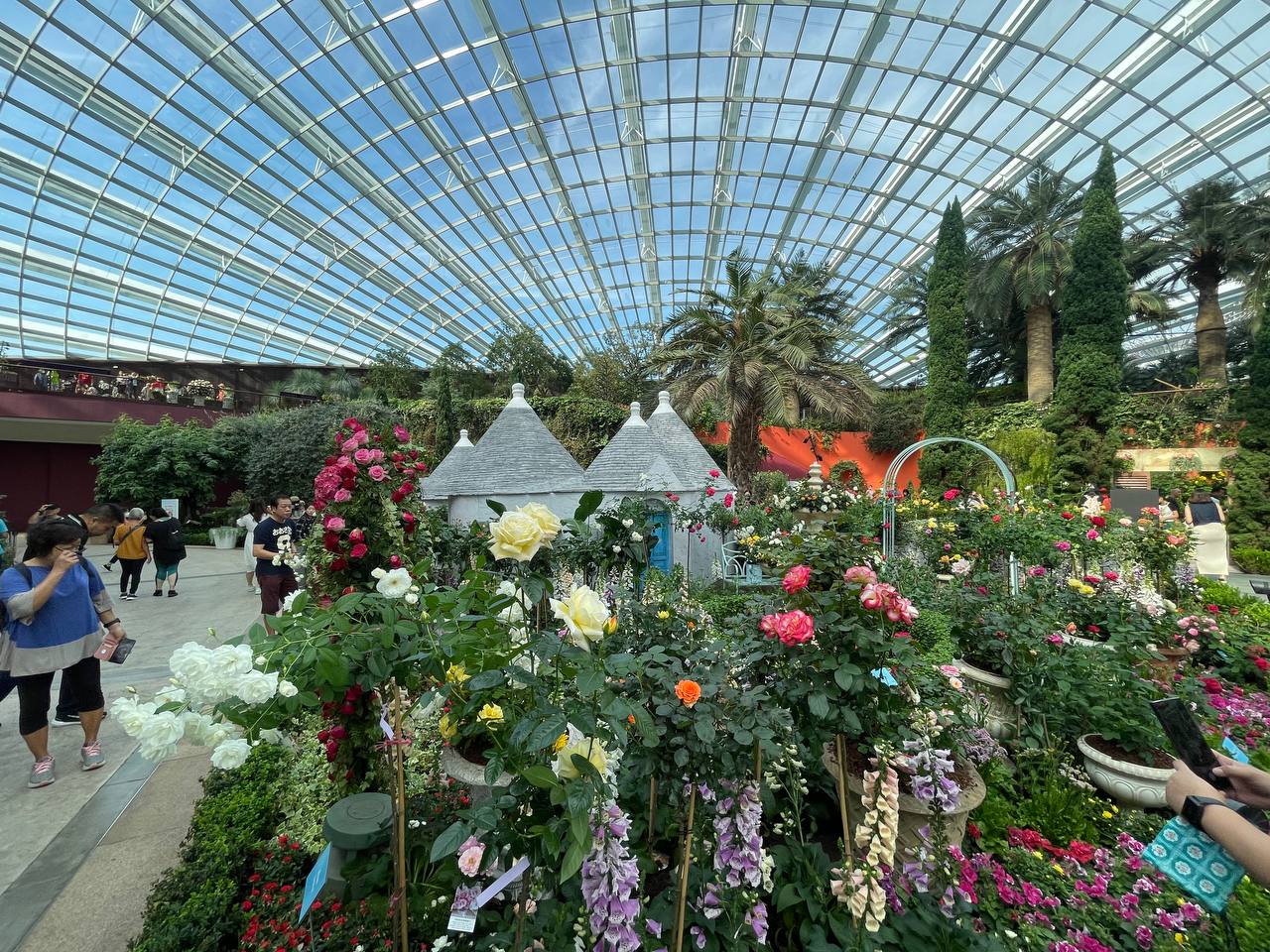 Galleria La Puglia a Singapore nel giorno della Festa della Repubblica, al grande evento “Rose Romance” promosso dall'Ambasciata d’Italia - Diapositiva 17 di 22