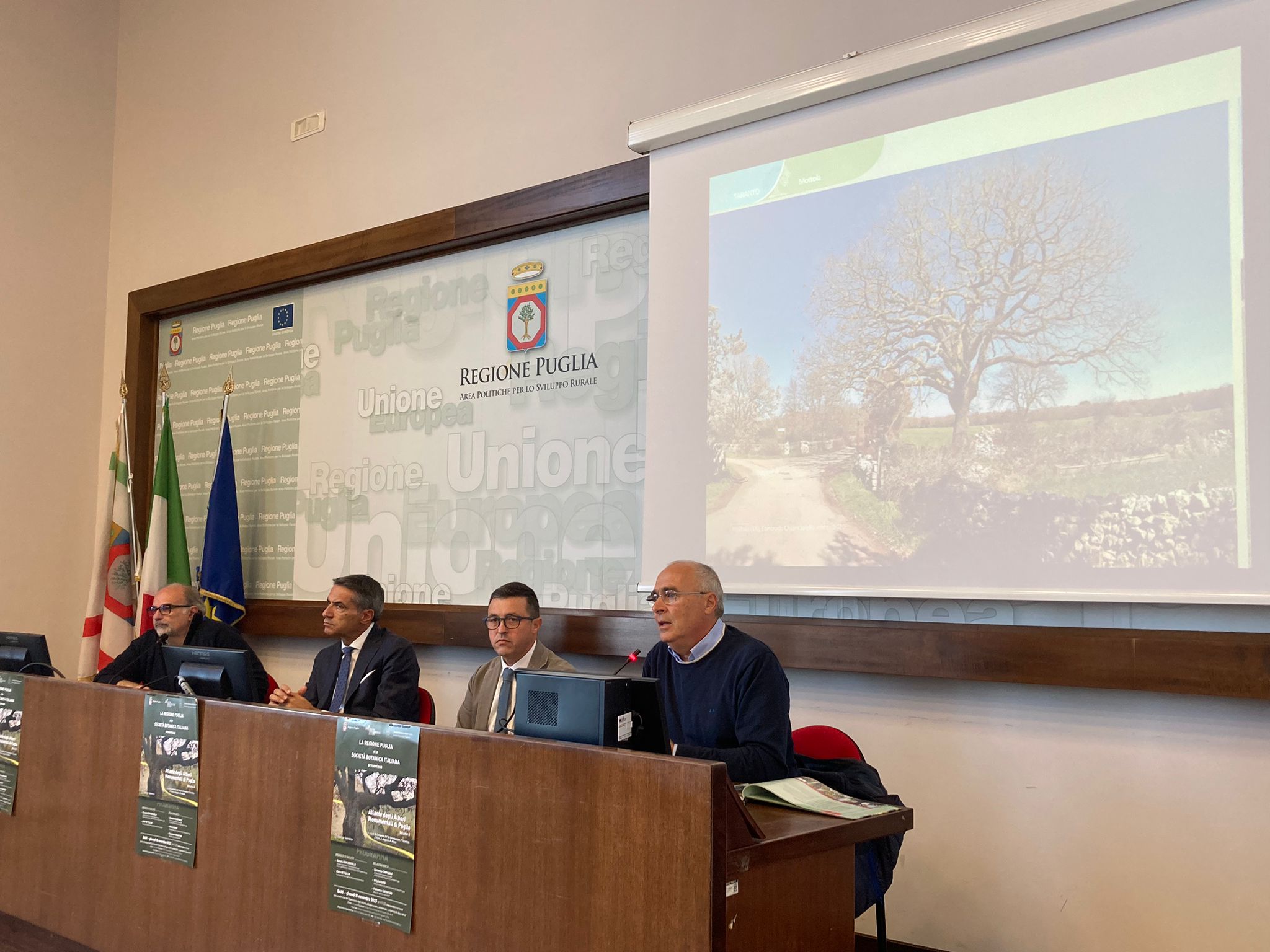 Galleria Presentato il secondo volume dell'Atlante degli alberi monumentali di Puglia - Diapositiva 7 di 13