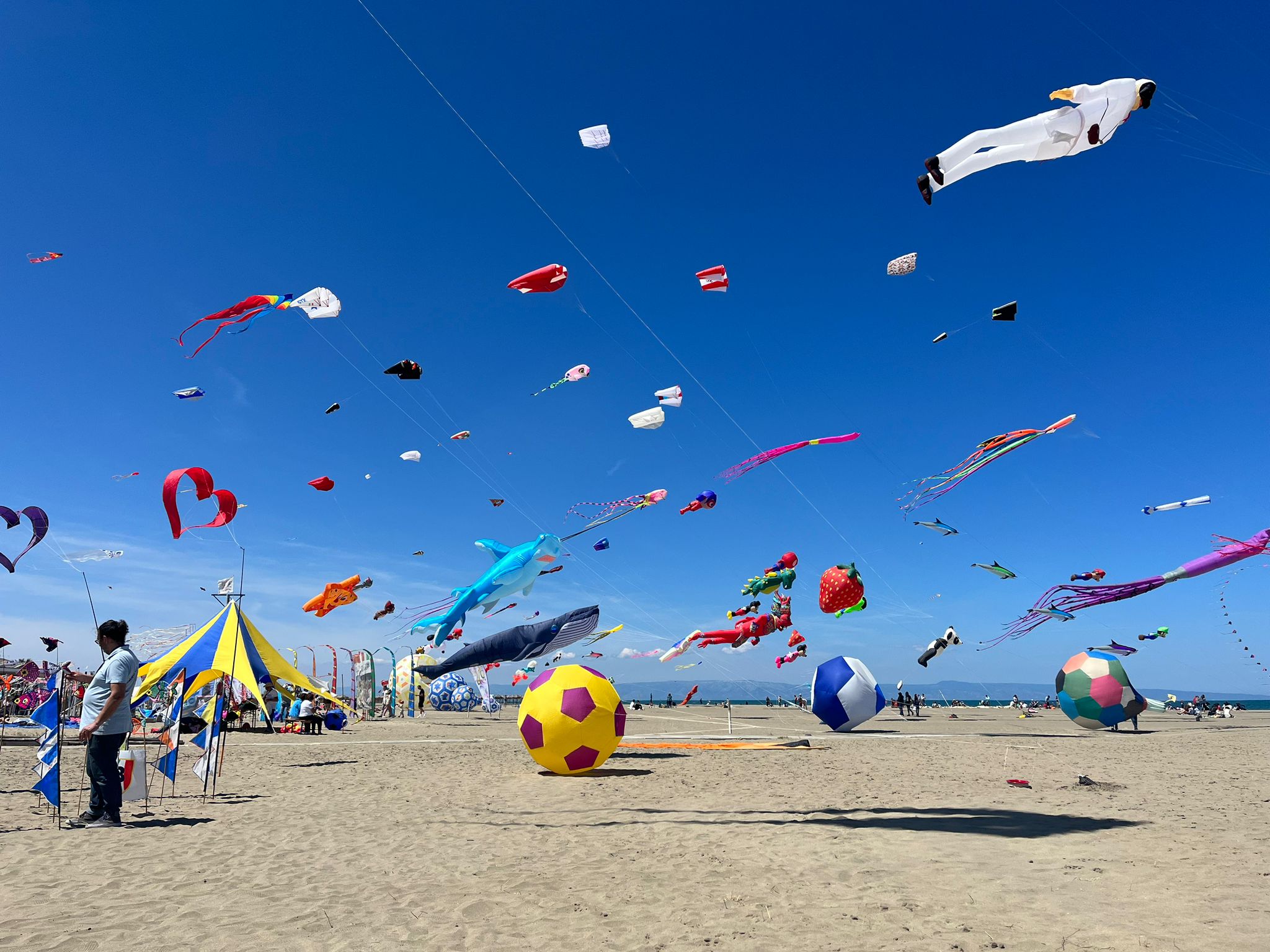 Galleria Al via il X Festival degli Aquiloni a Margherita di Savoia - Diapositiva 2 di 3