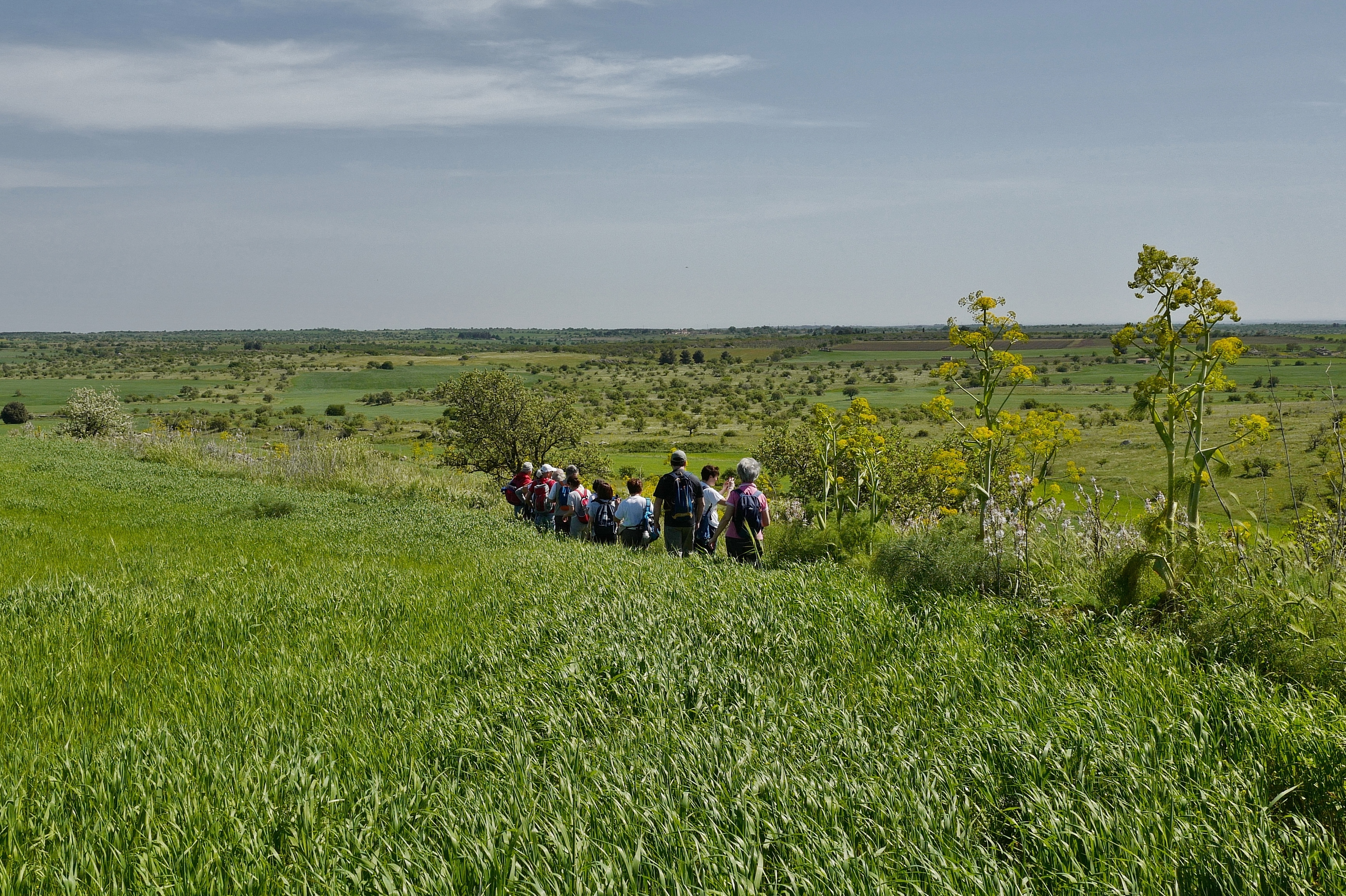 Galleria TURISMO SOSTENIBILE, CAMMINI: +48% PER LE CREDENZIALI DEI VIANDANTI, DOSSIER DATI - Diapositiva 9 di 12